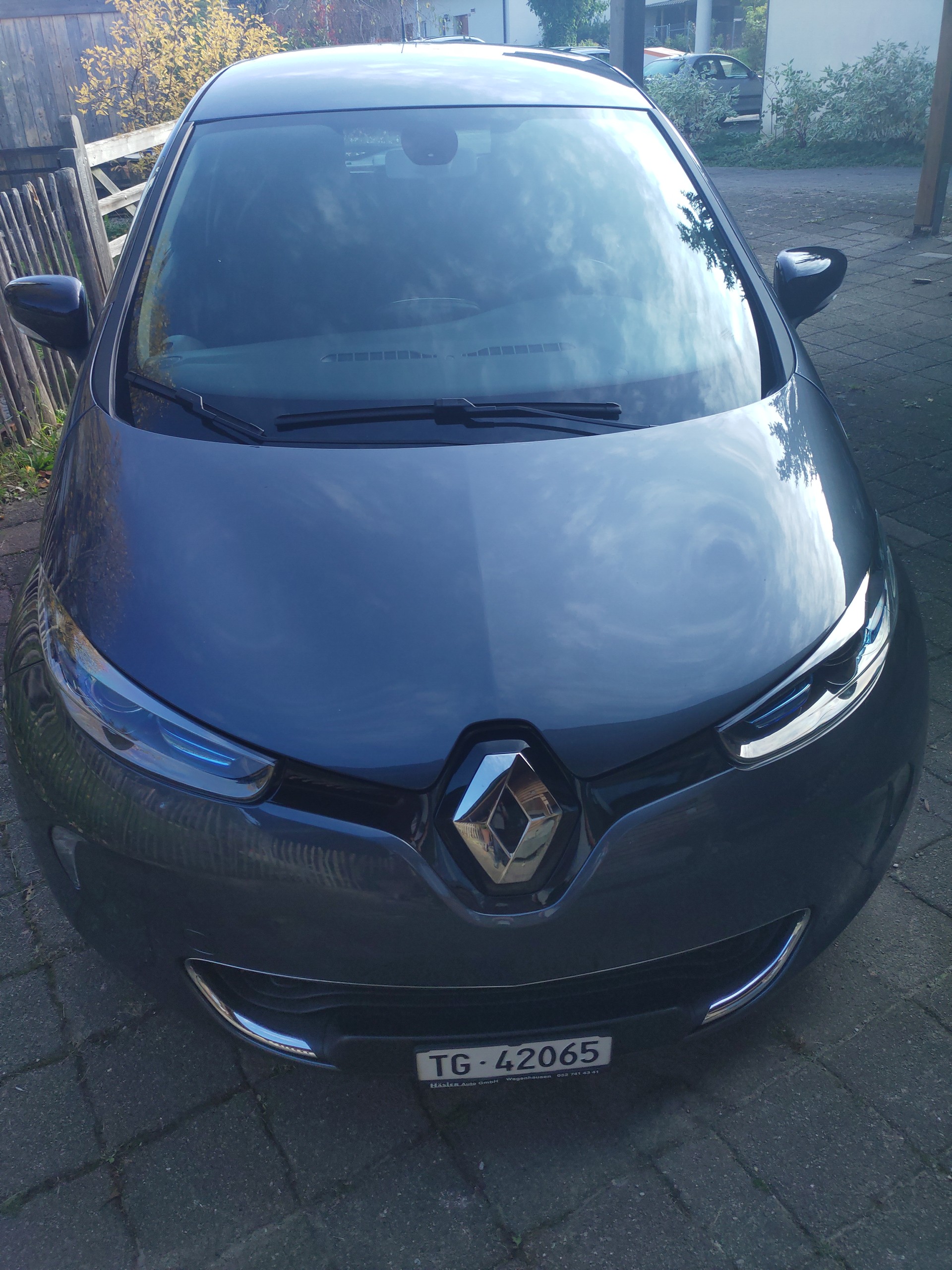 RENAULT R110 Limited - Batteriemiete-image-0
