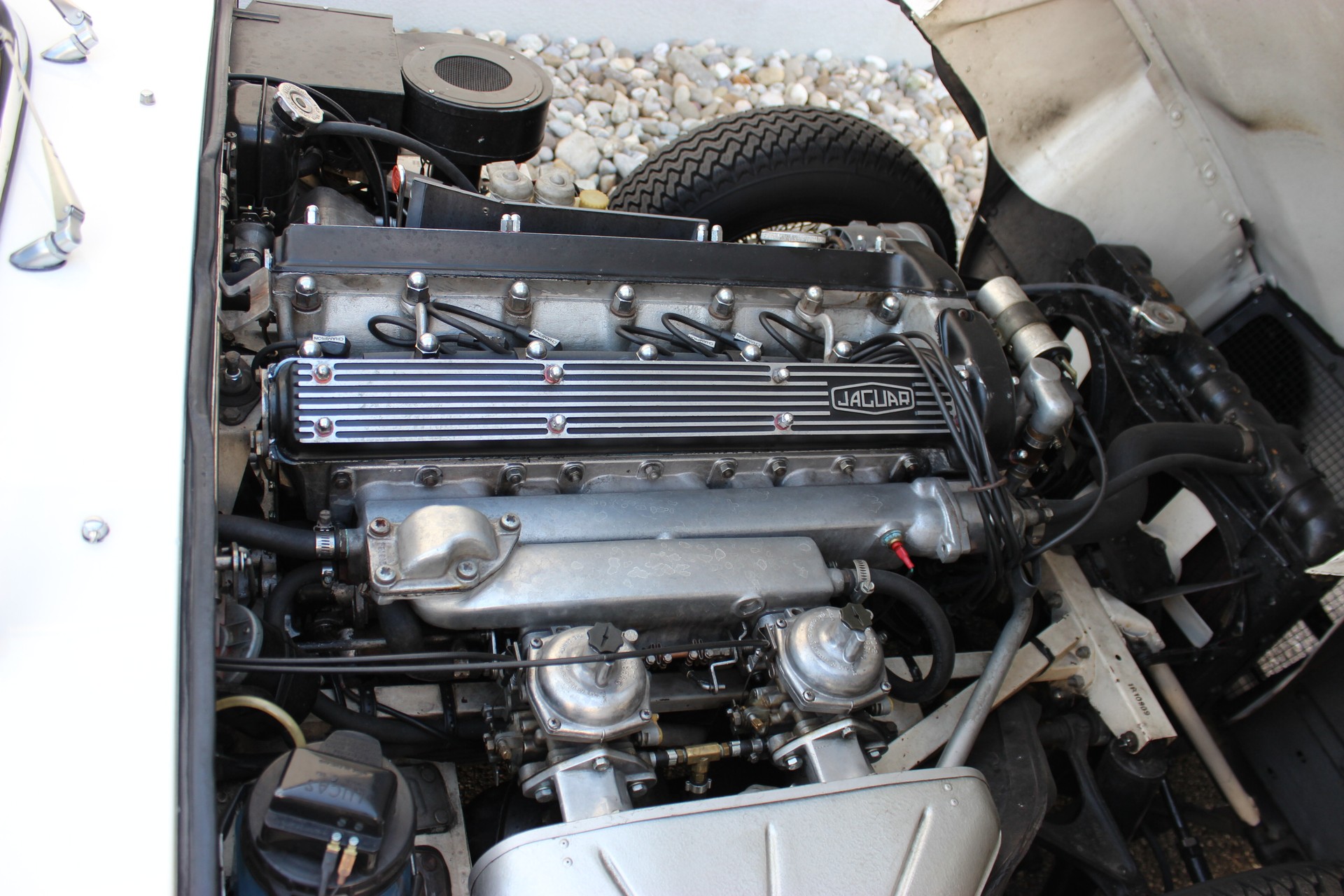 JAGUAR E-Type 4.2 Roadster S2-image-7