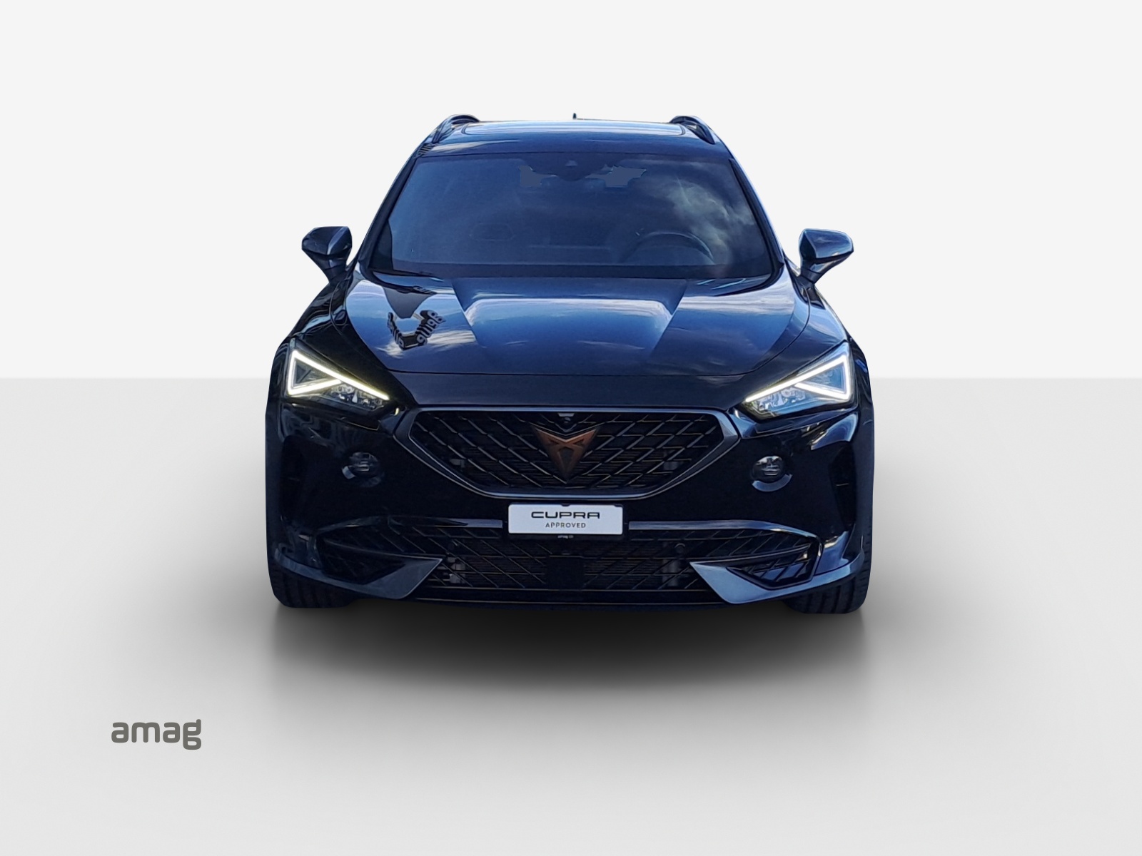 CUPRA Formentor 2.0TSI VZ 4Drive DSG-image-6
