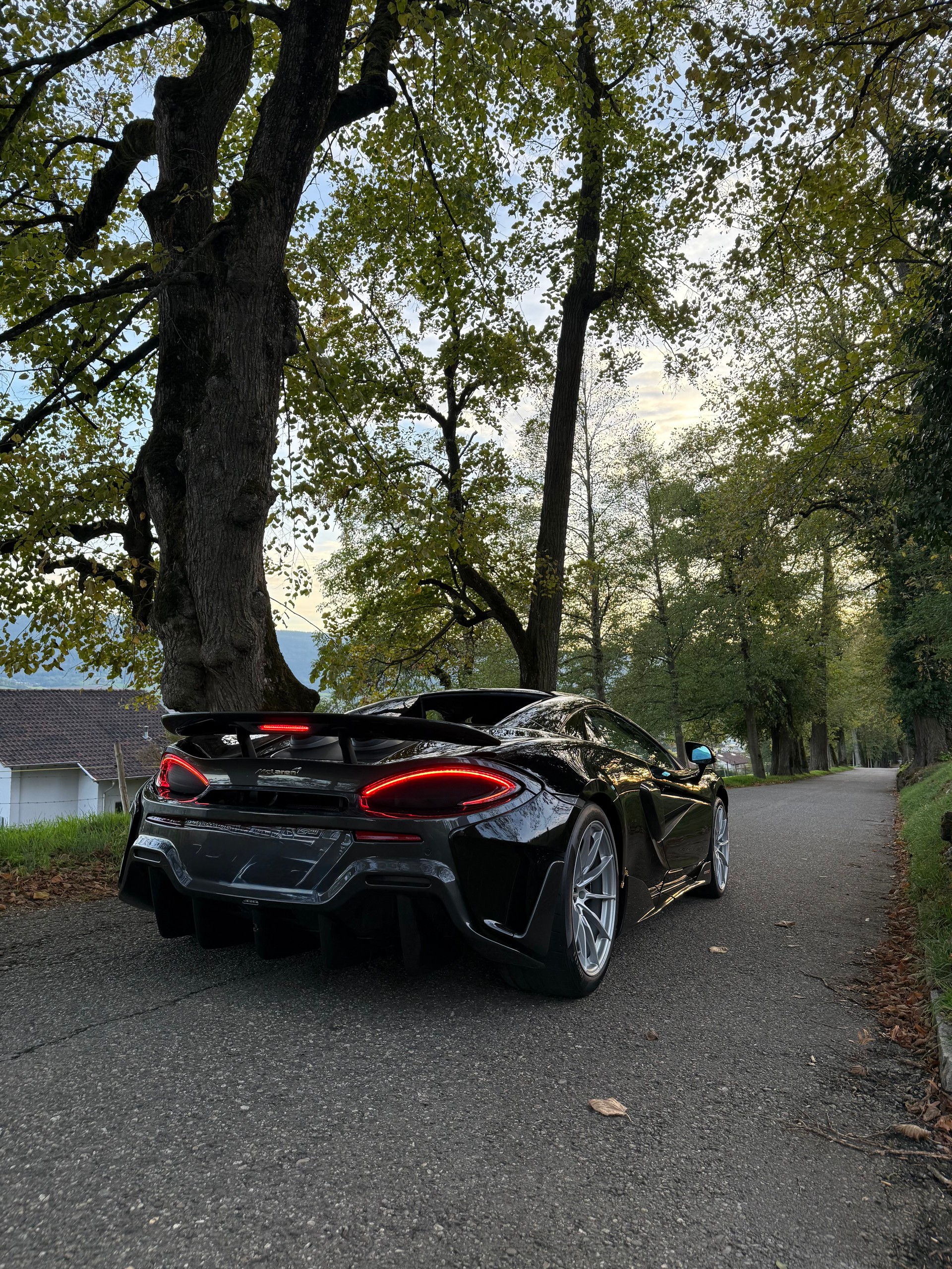 McLAREN Spider-image-2