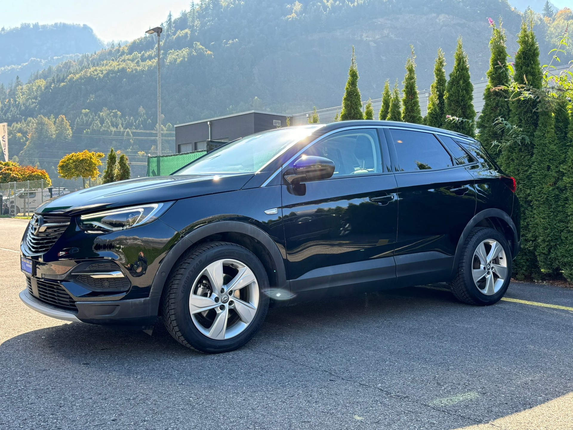 OPEL Grandland X 1.2i TP Design Line Automatik-image-1