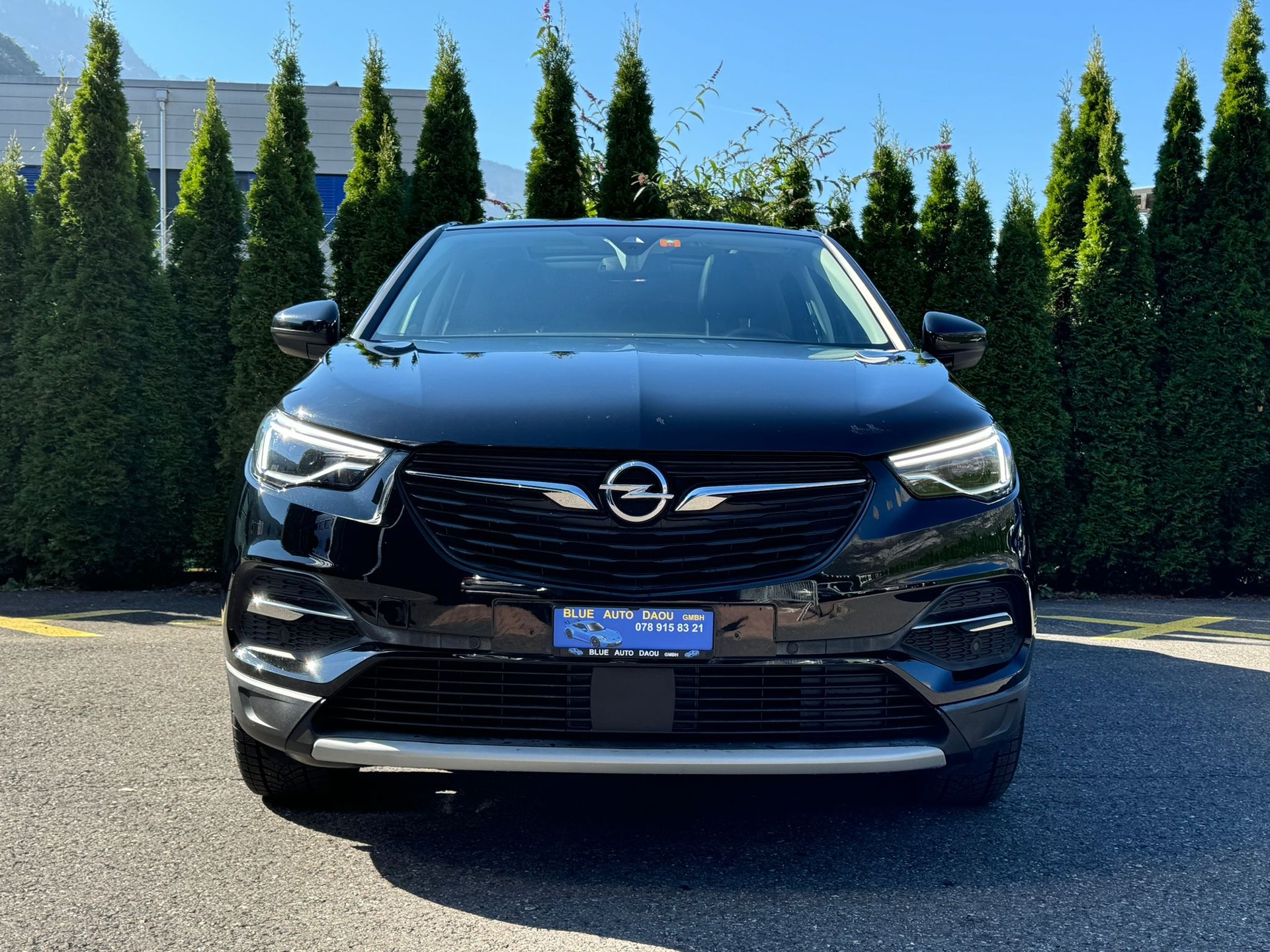 OPEL Grandland X 1.2i TP Design Line Automatik-image-0