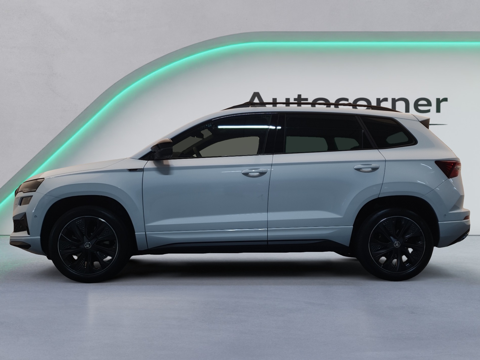 SKODA Karoq 2.0 TSI Dynamic Limited Edition 4x4 DSG-image-1