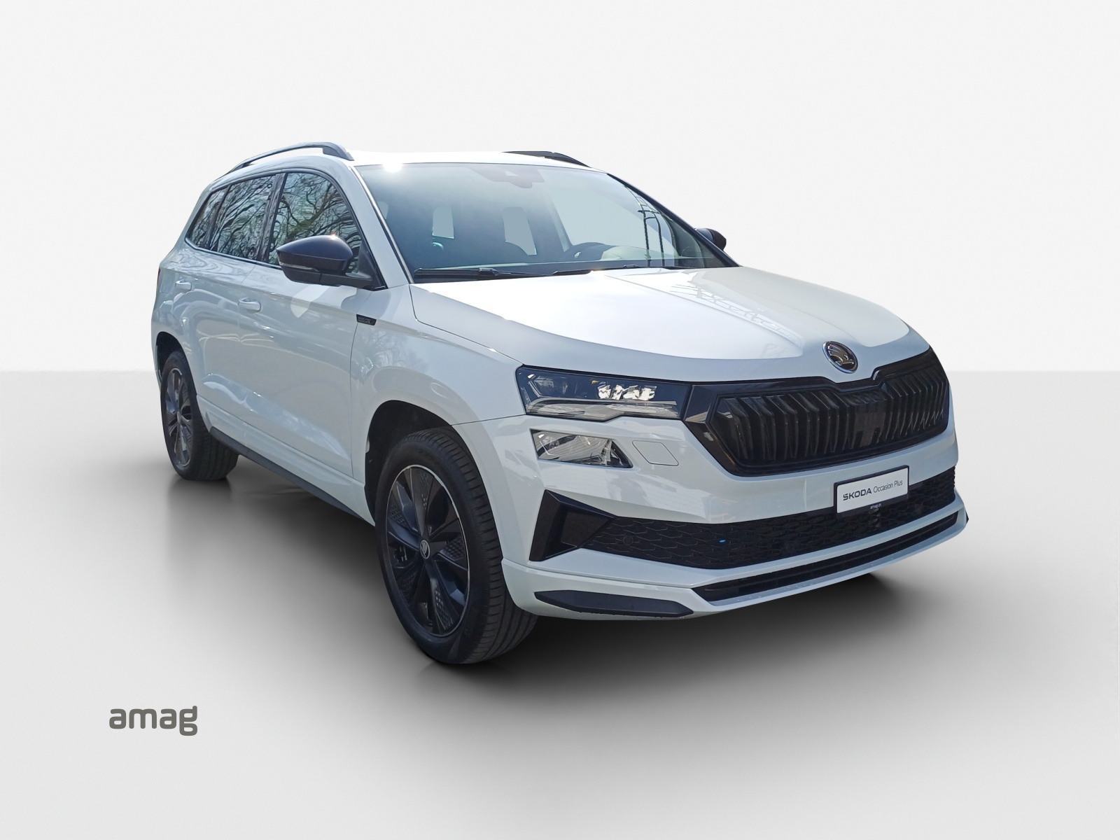 SKODA Karoq 2.0 TSI SportLine 4x4 DSG-image-5