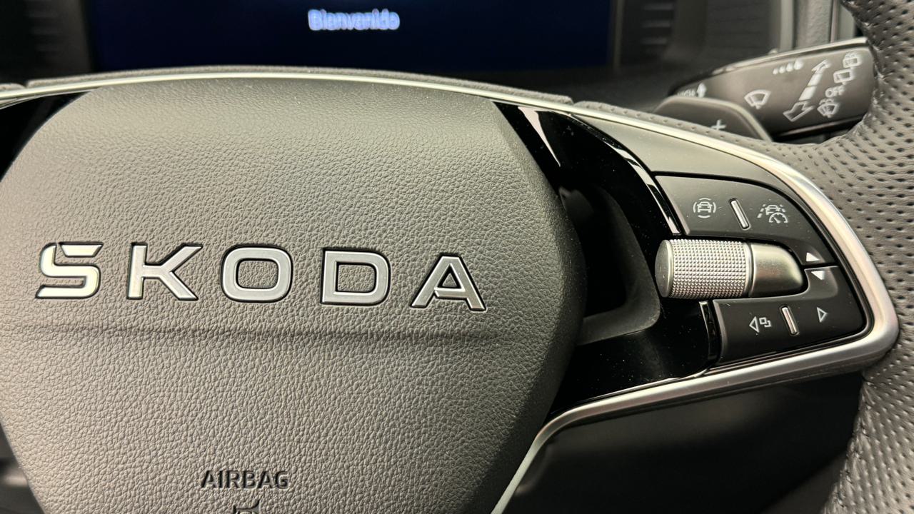 SKODA Karoq 1.5 TSI SportLine DSG-image-9