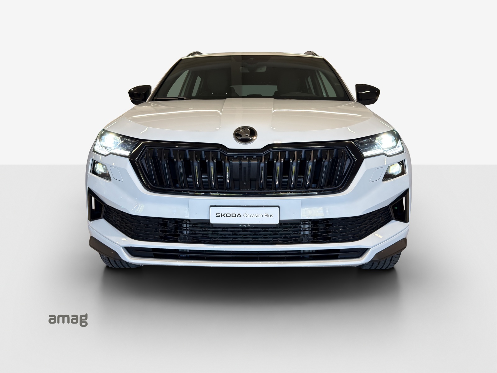 SKODA Karoq 2.0 TSI SportLine 4x4 DSG-image-6