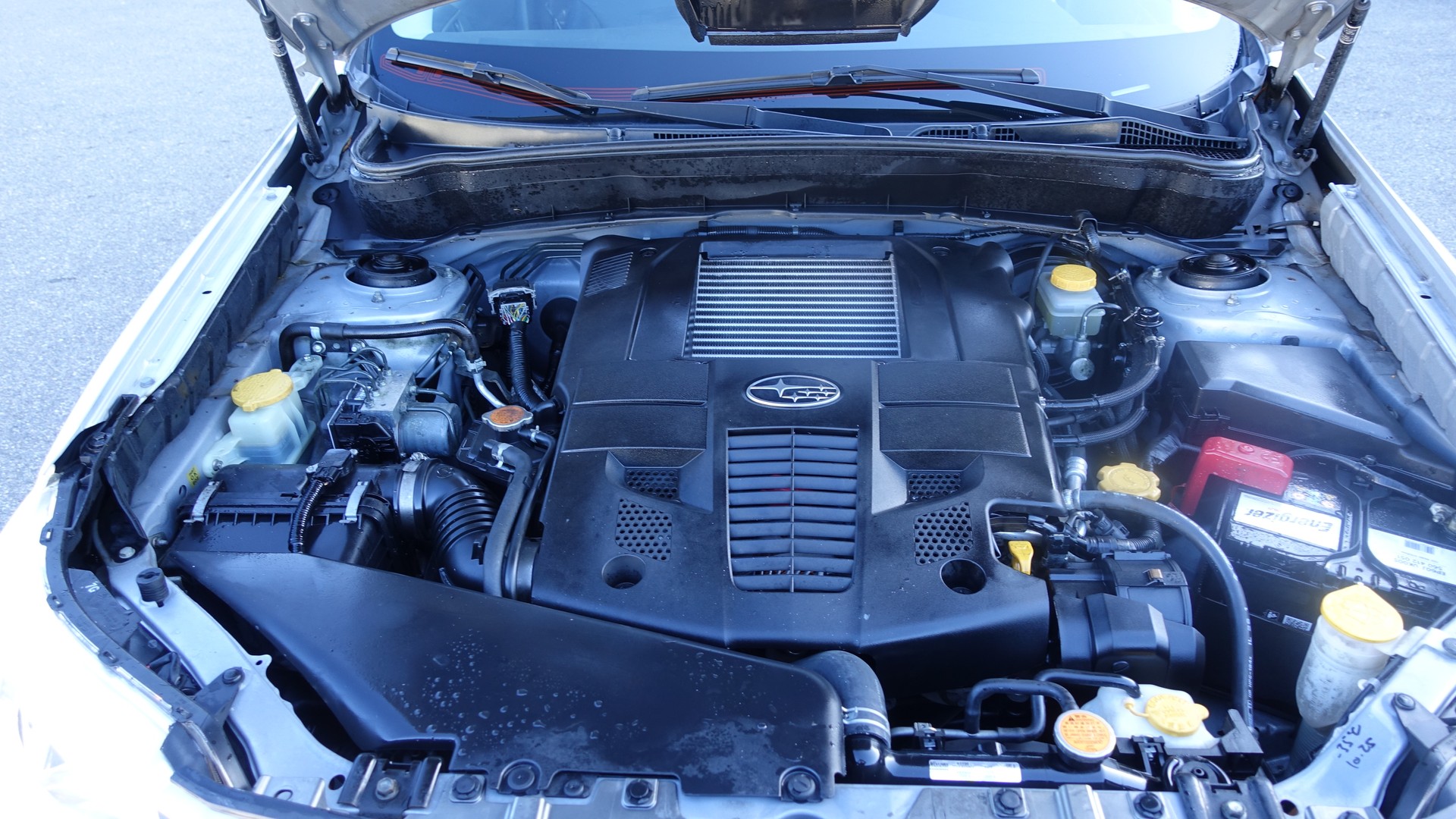 SUBARU Forester 2.5XT Executive-image-13