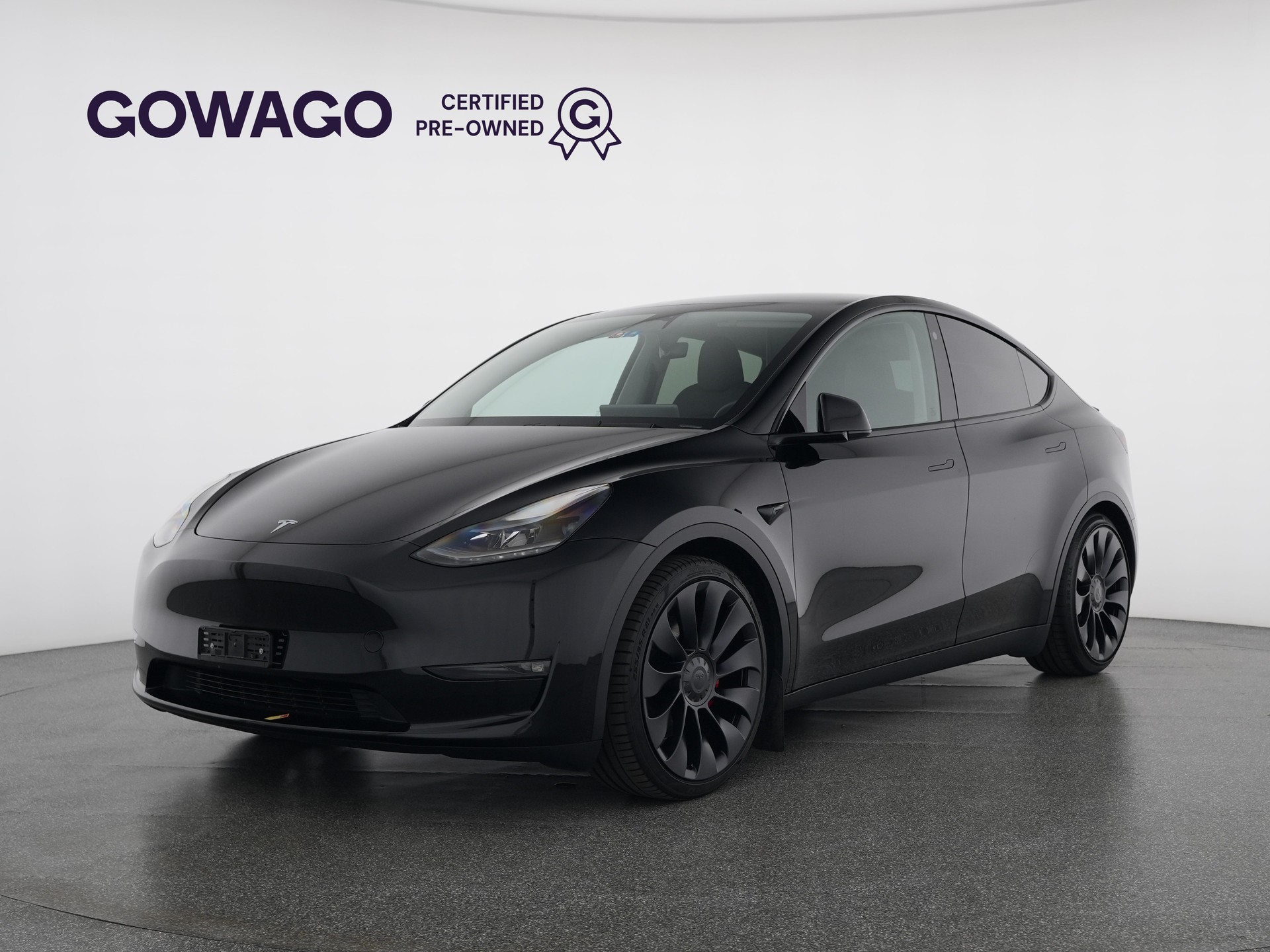 TESLA Model Y Performance