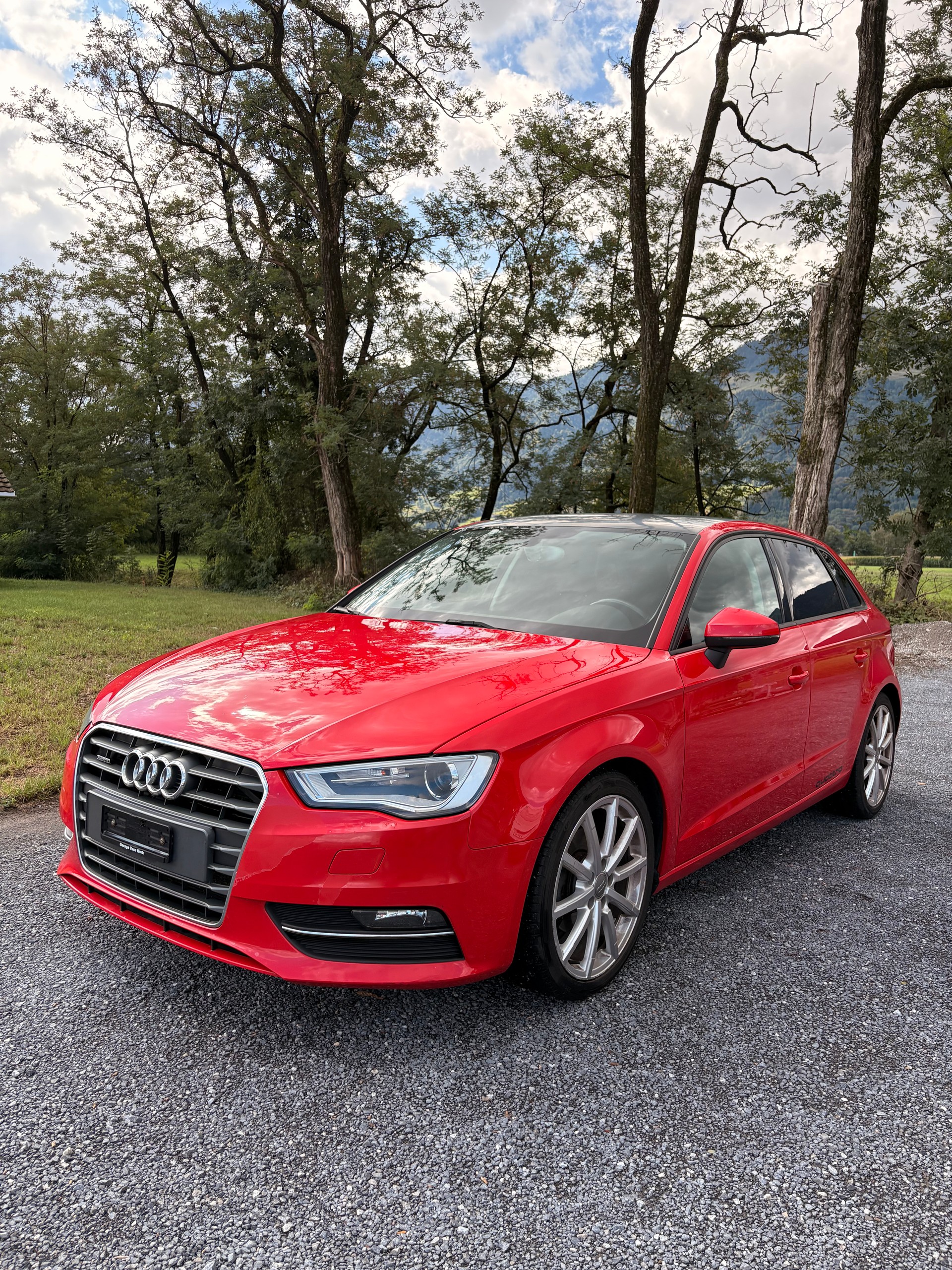AUDI SB Quattro 2.0 TDI-image-1