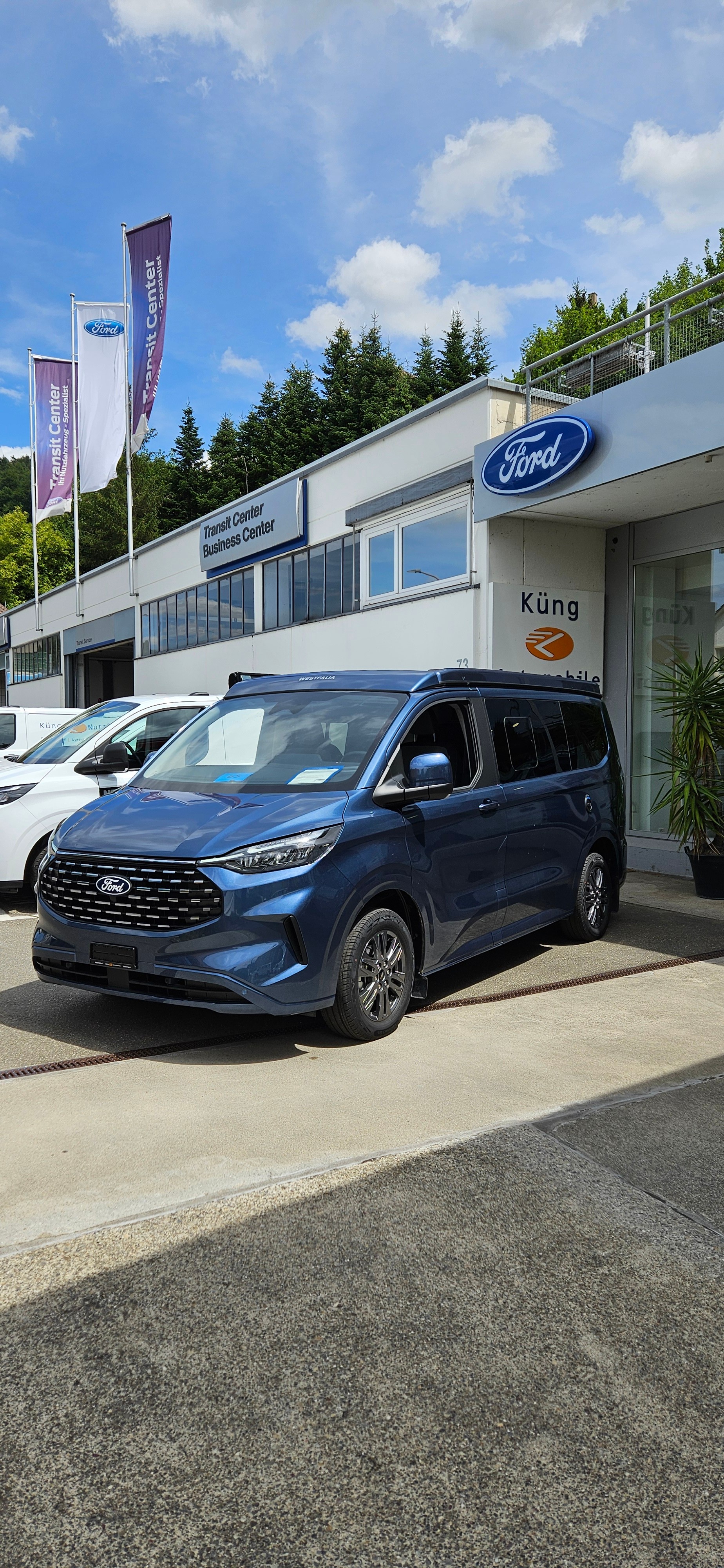 FORD Nugget-image-0