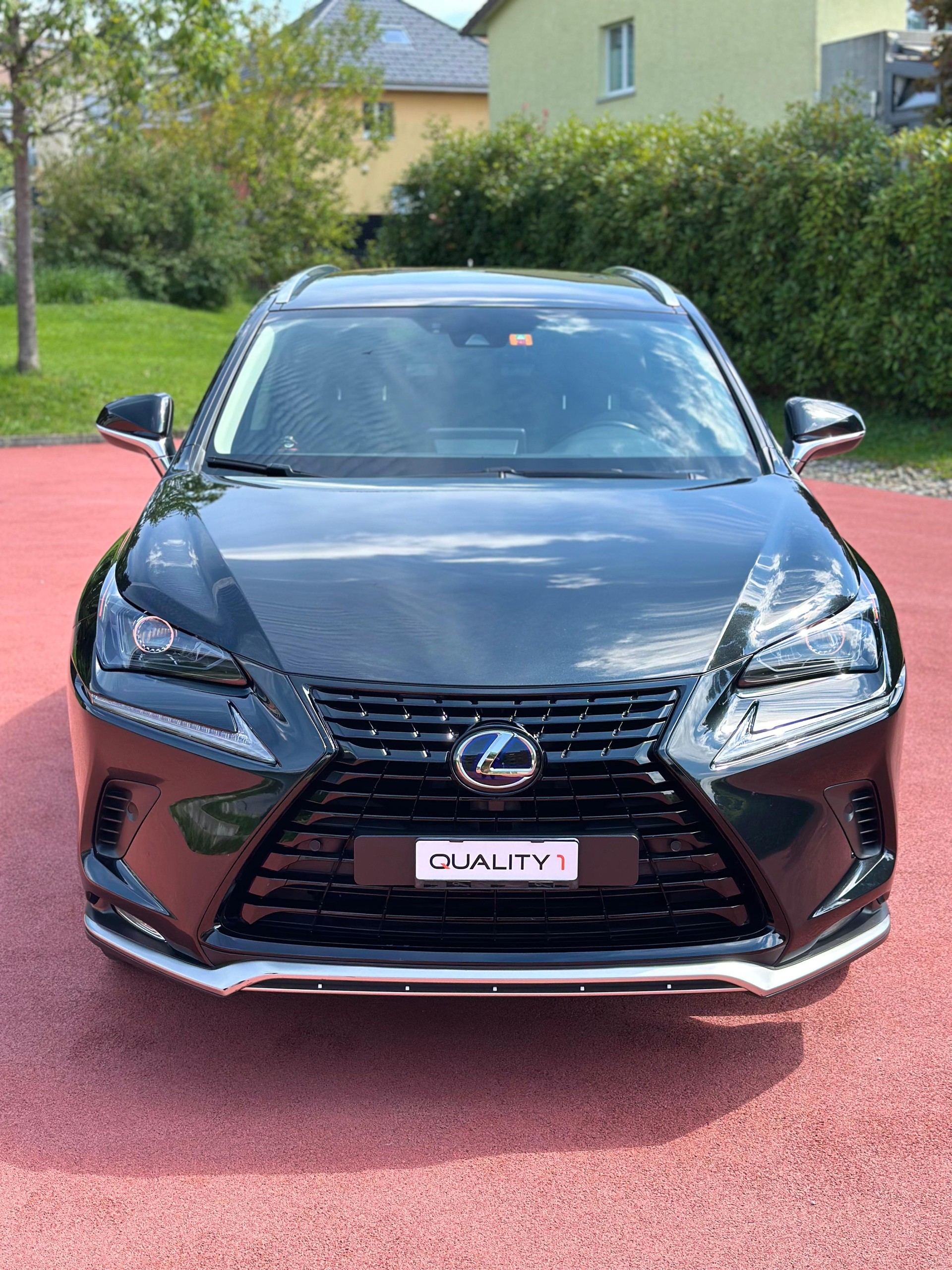 LEXUS NX 300h Celebrating 30 E-Four Automatic-image-1