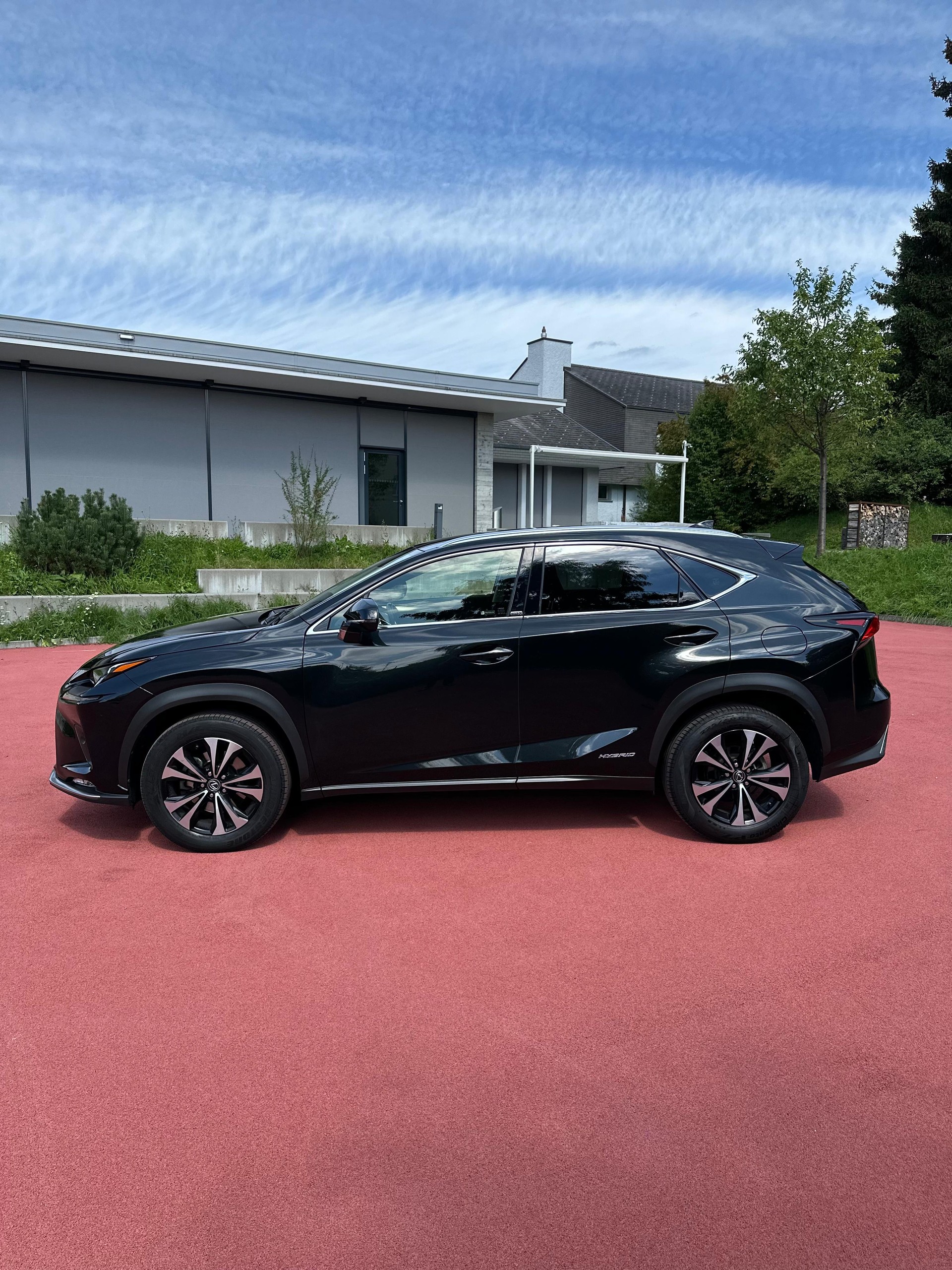 LEXUS NX 300h Celebrating 30 E-Four Automatic-image-8