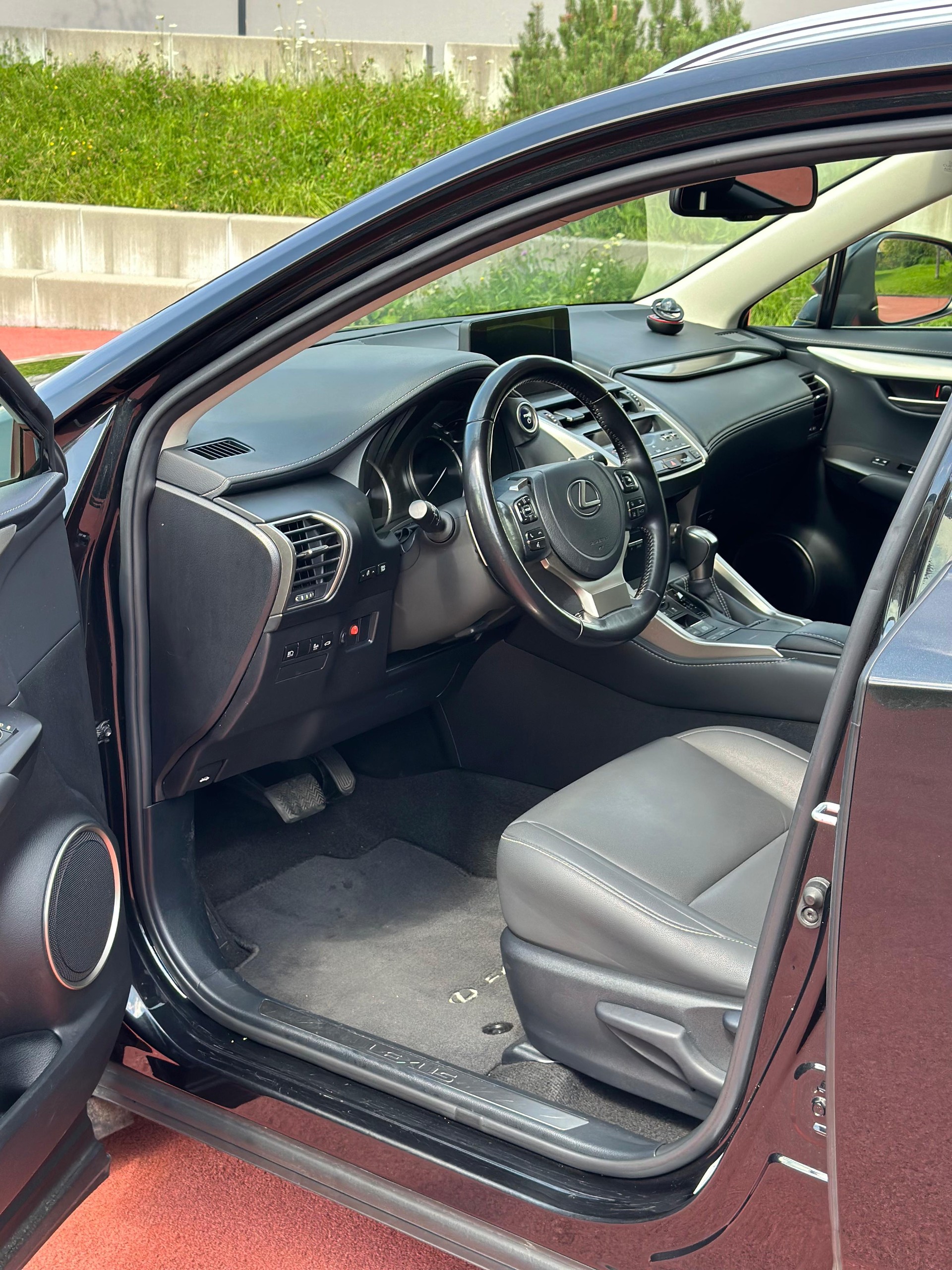 LEXUS NX 300h Celebrating 30 E-Four Automatic-image-10