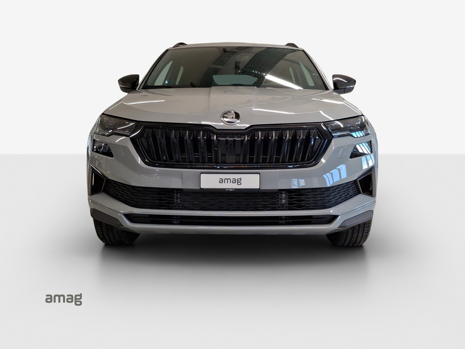SKODA Karoq 2.0 TSI SportLine 4x4 DSG-image-6