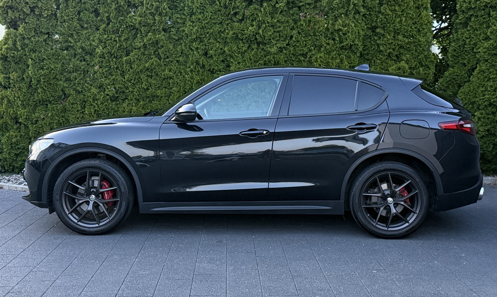 ALFA ROMEO Stelvio 2.0 First Edition Q4 Automatic / Anhängerkupplung-image-6