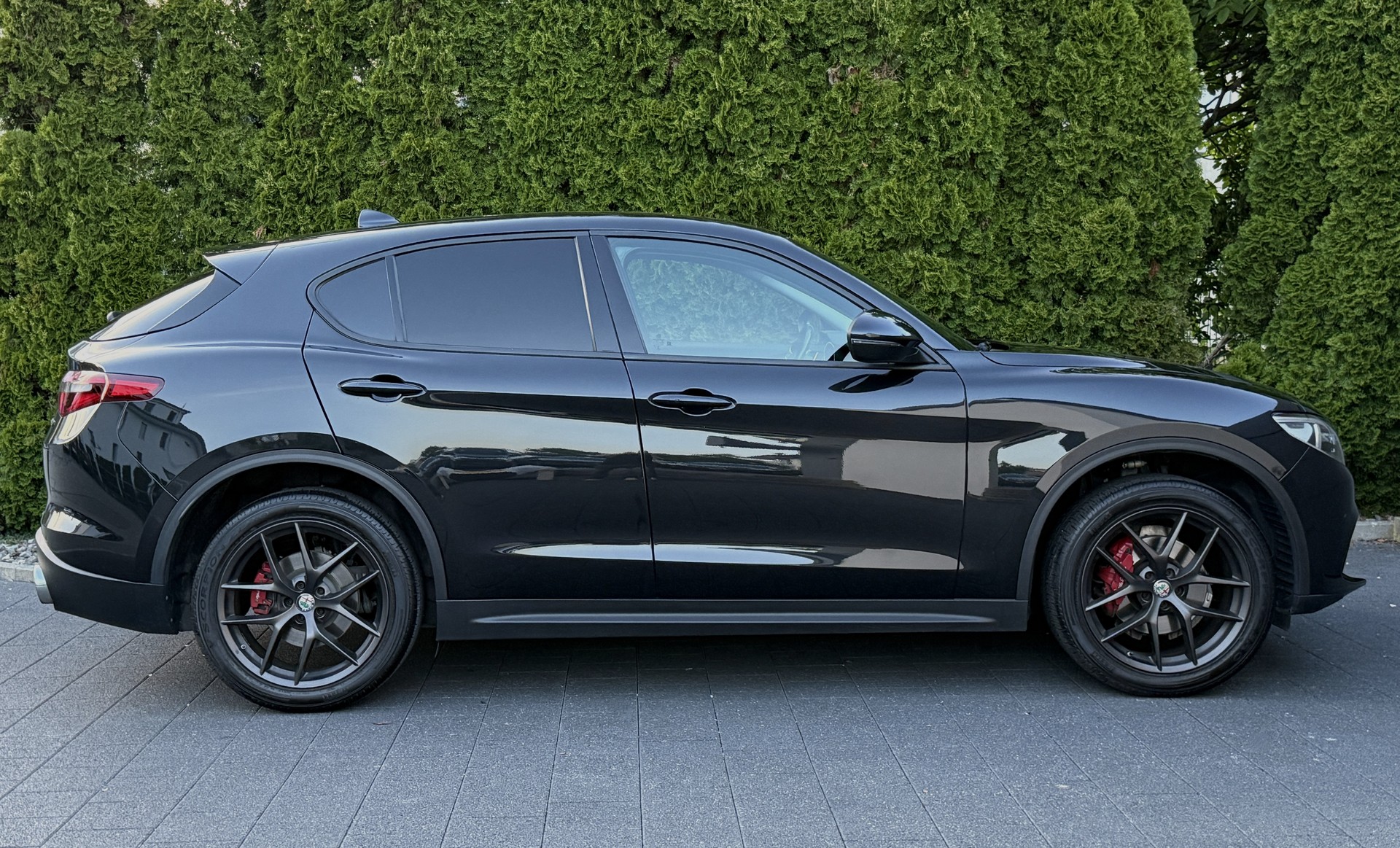 ALFA ROMEO Stelvio 2.0 First Edition Q4 Automatic / Anhängerkupplung-image-8