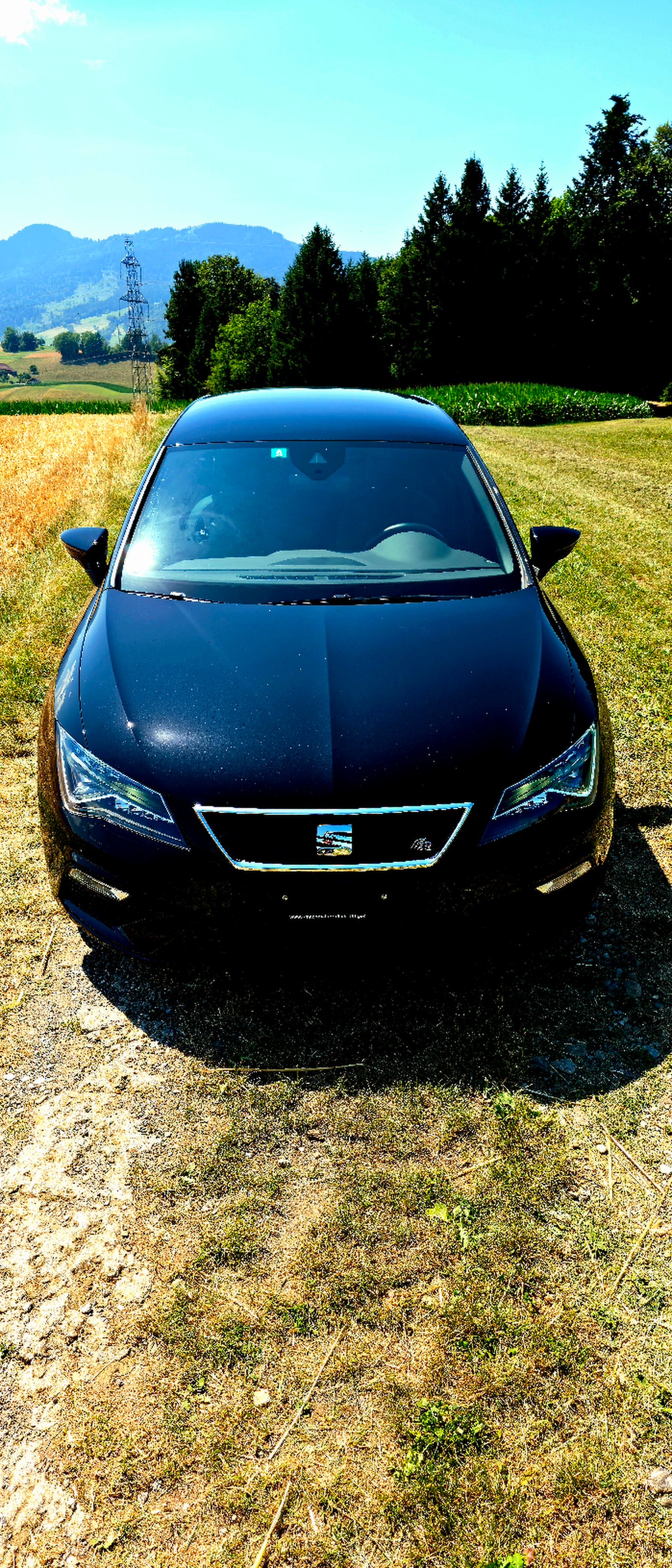 SEAT 2.0 TSI Swiss FR DSG-image-2