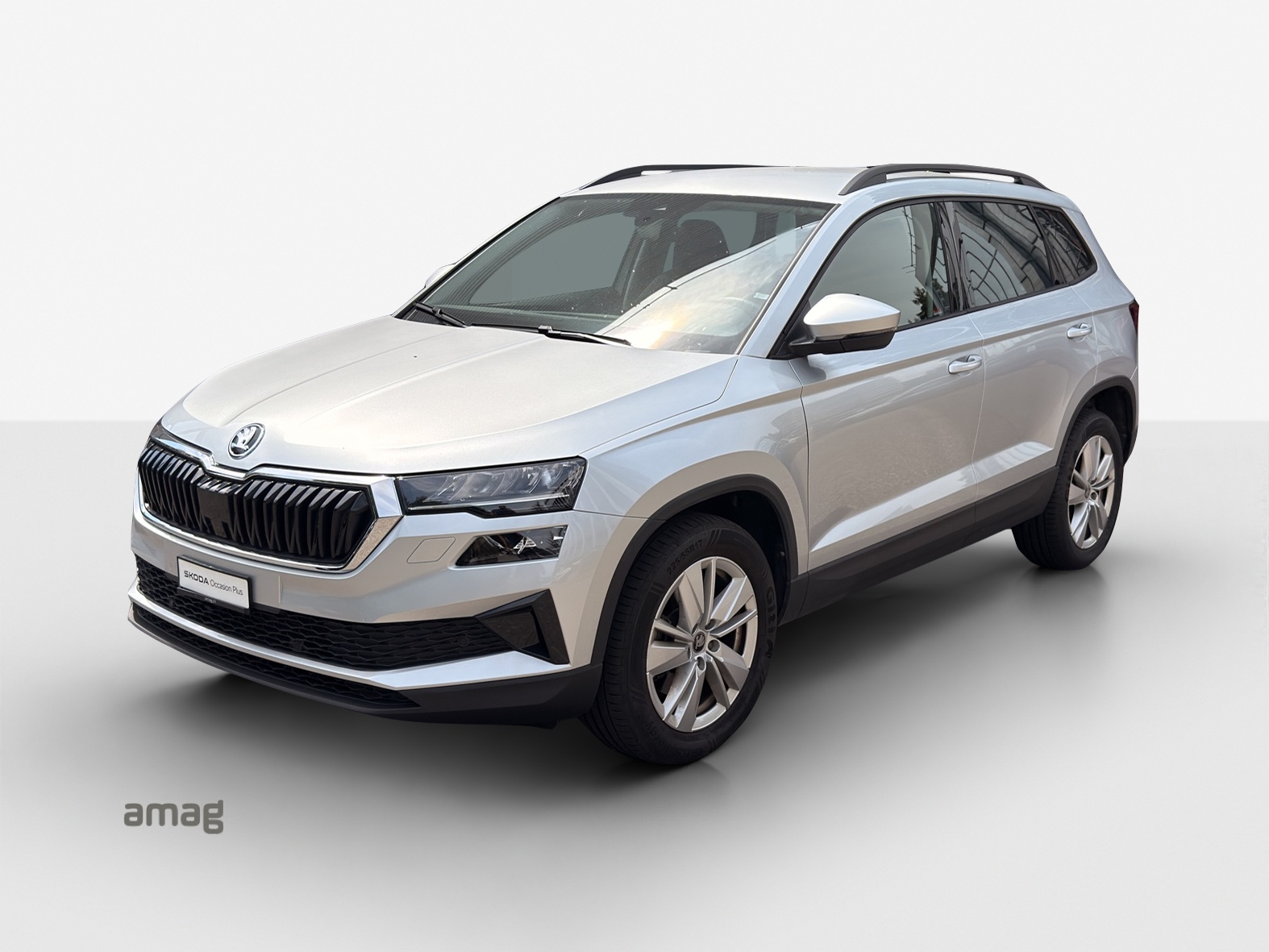 SKODA Karoq 2.0 TDI CR Selection 4x4 DSG-image-0