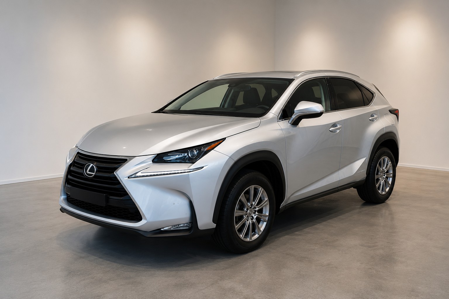 LEXUS 300h Impression-image-0