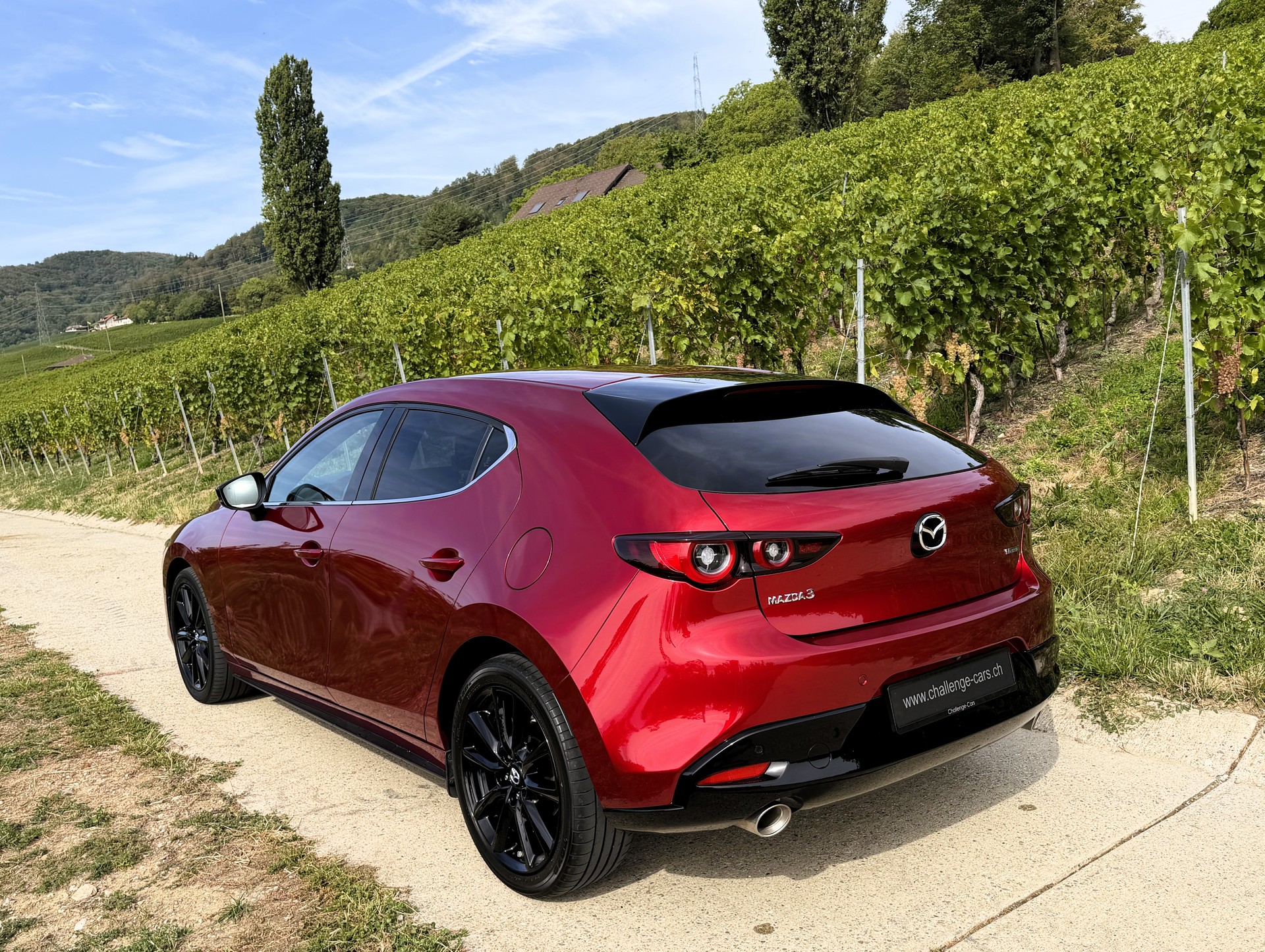 MAZDA 3 Hatchback SKYACTIV-X M Hybrid 186 Homura Automat-image-11