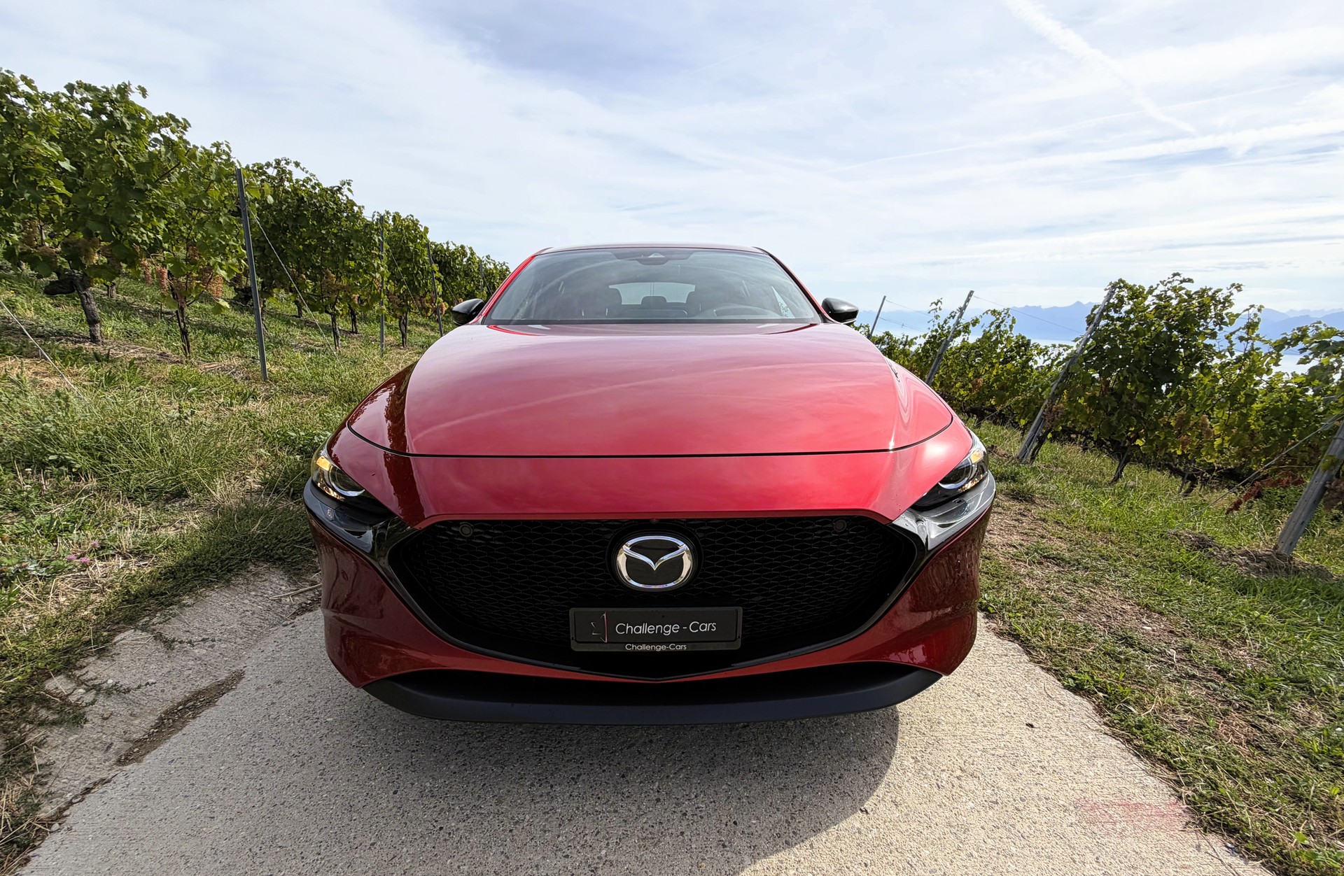 MAZDA 3 Hatchback SKYACTIV-X M Hybrid 186 Homura Automat-image-3