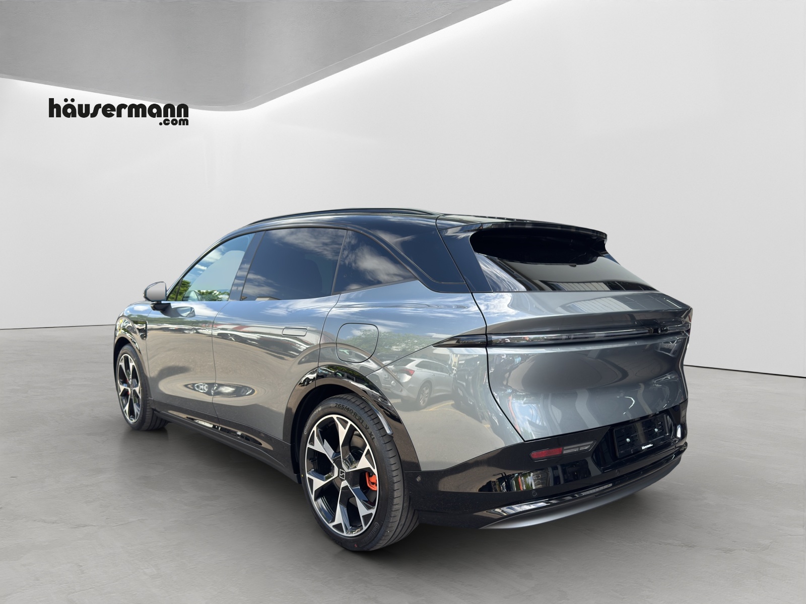 ZEEKR 7X Privilege AWD-showroom-element-3