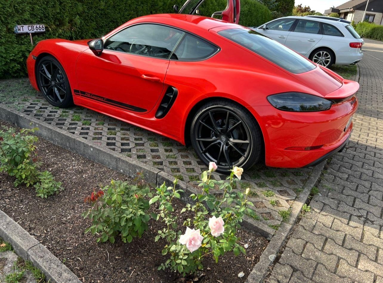 PORSCHE Cayman T-image-1