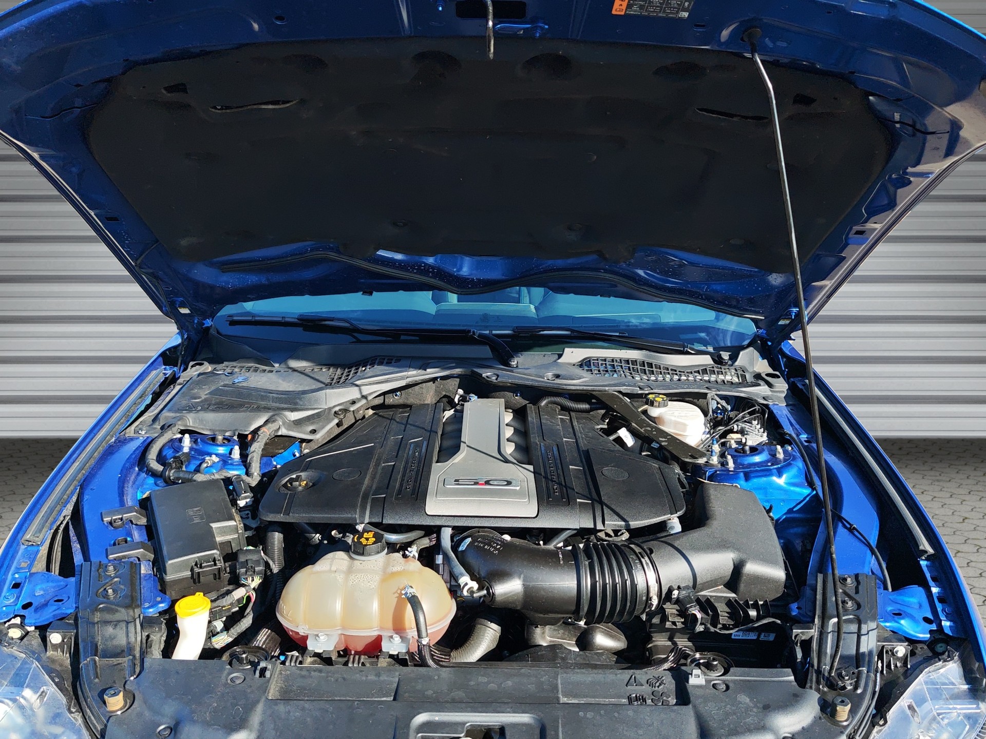 FORD Mustang Fastback 5.0 V8 GT Automat-image-14