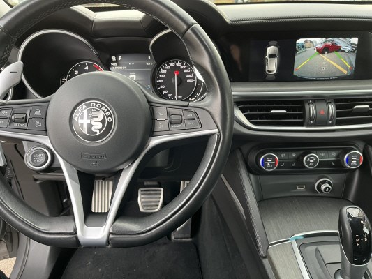 ALFA ROMEO Stelvio 2.2JTDM Execu. Q4-image-10