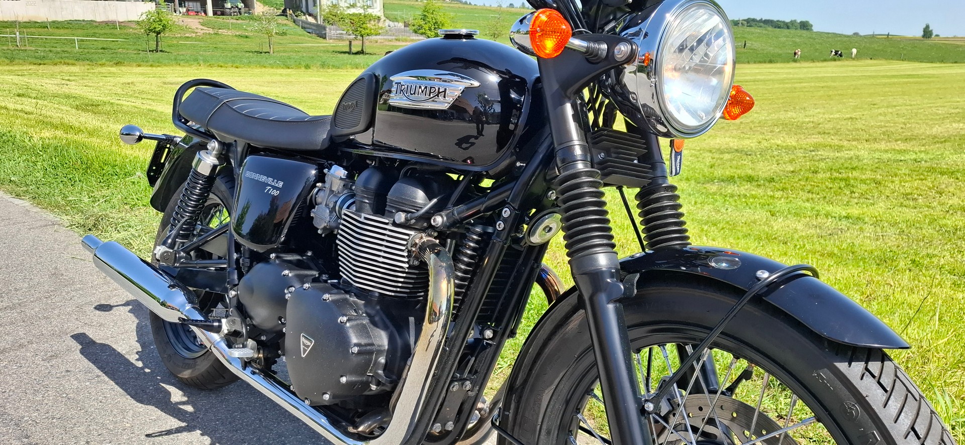 TRIUMPH Bonneville 900 i T 100-image-11