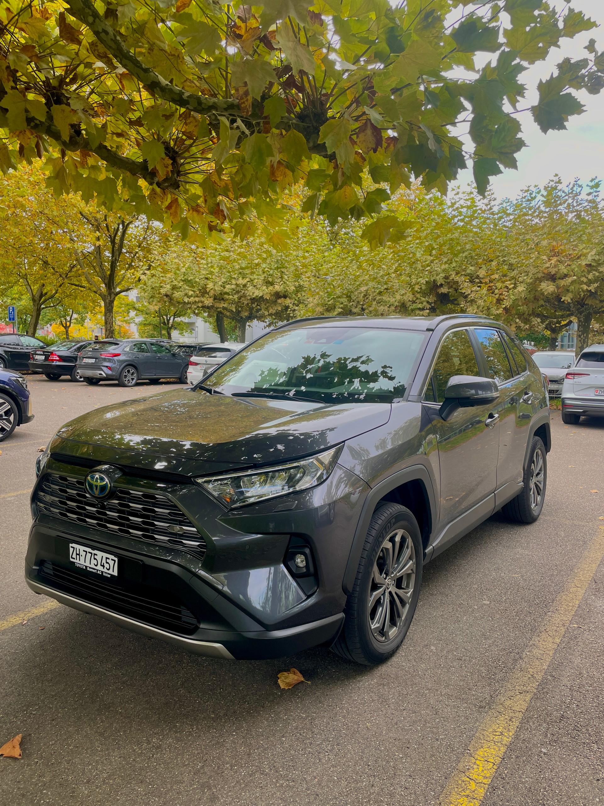TOYOTA RAV-4 2.5 HSD Trend e-CVT 4WD-image-0