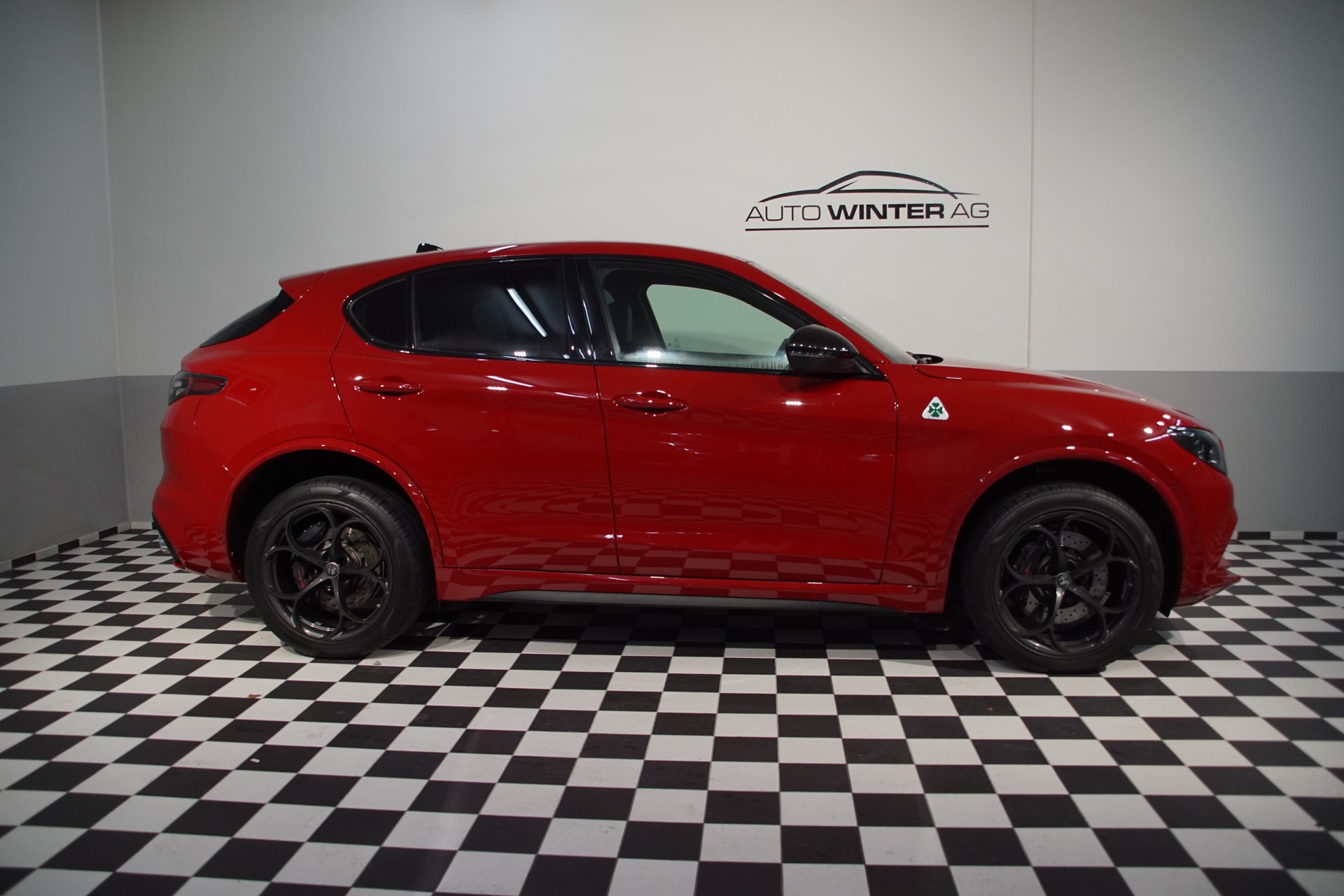 ALFA ROMEO Stelvio 2.9 V6 Quadrifoglio Q4 AT8-image-5