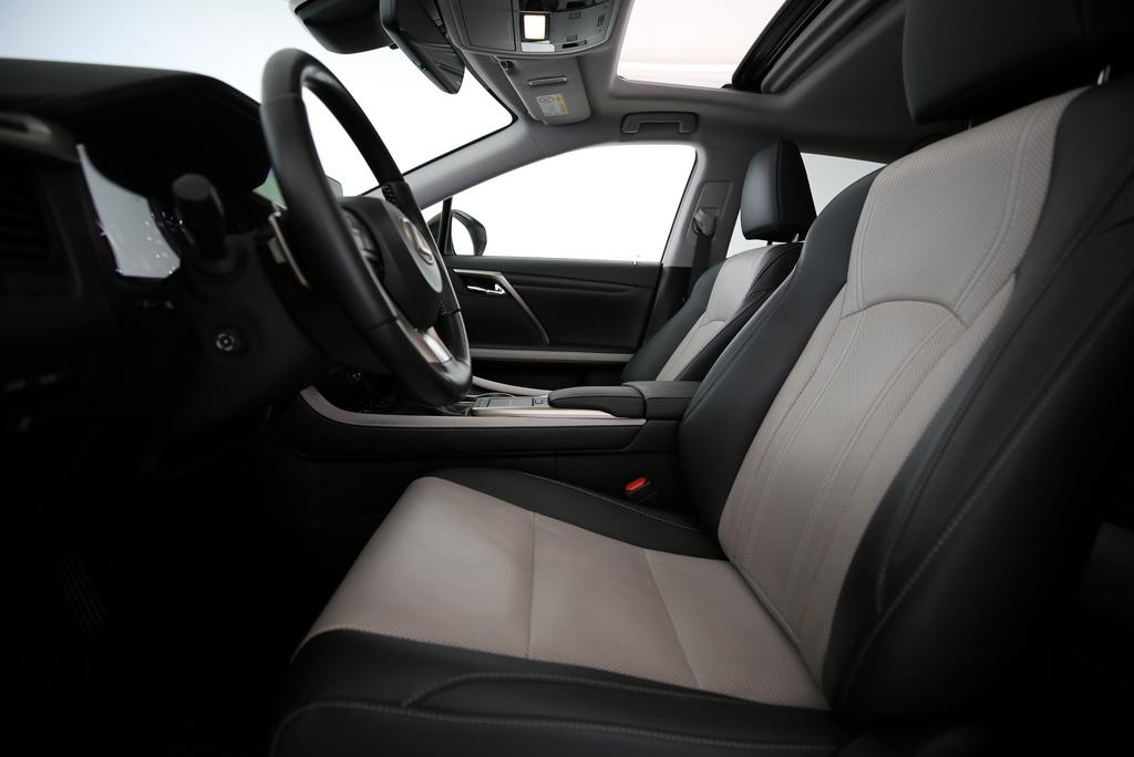 LEXUS RX 300 Special Edition-image-2