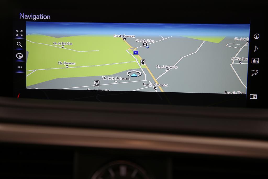LEXUS RX 300 Special Edition-image-5