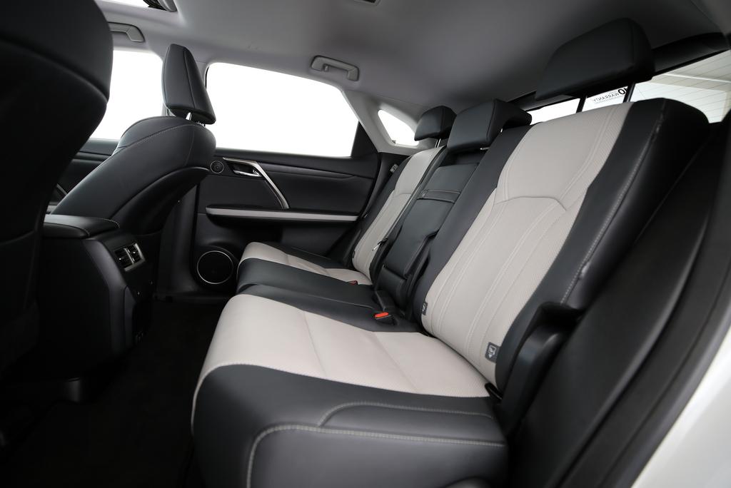 LEXUS RX 300 Special Edition-image-7