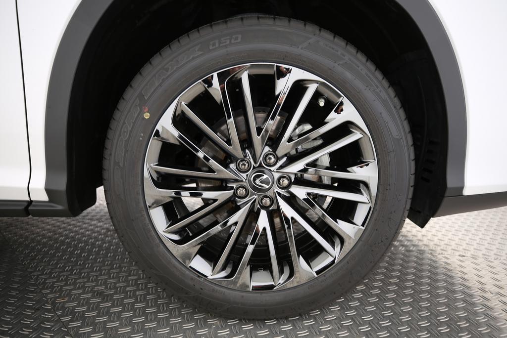 LEXUS RX 300 Special Edition-image-10