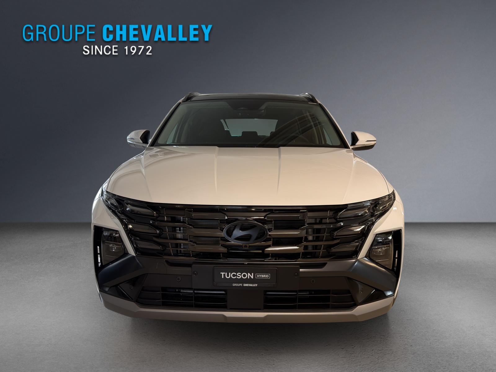 HYUNDAI Tucson 1.6 TGDI HEV Vertex 4WD Swiss Edition MY26-image-1