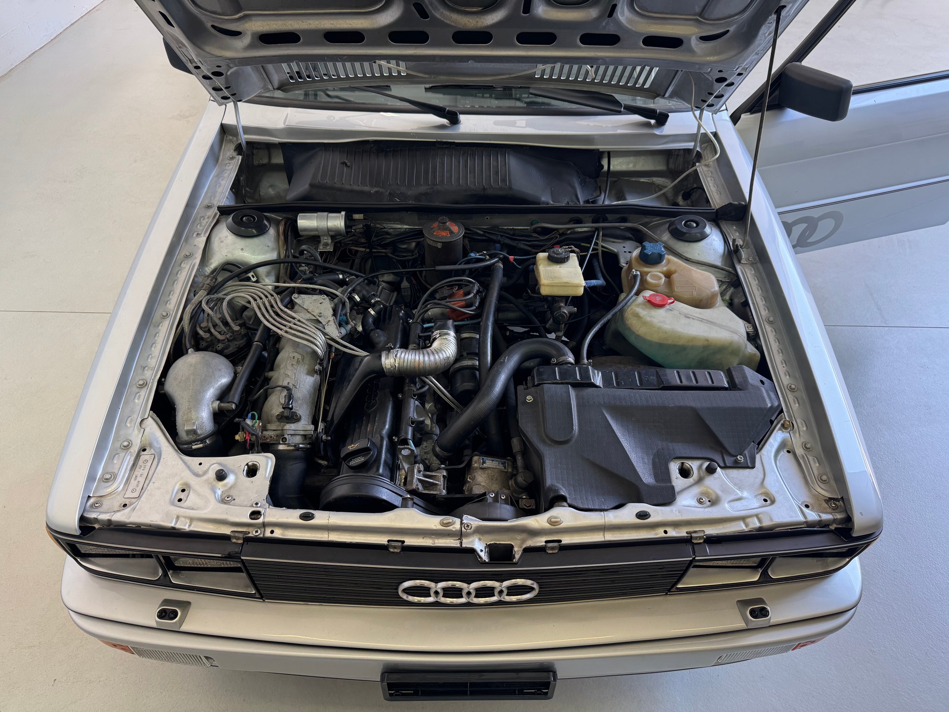 AUDI quattro Turbo veteran MFK-image-9