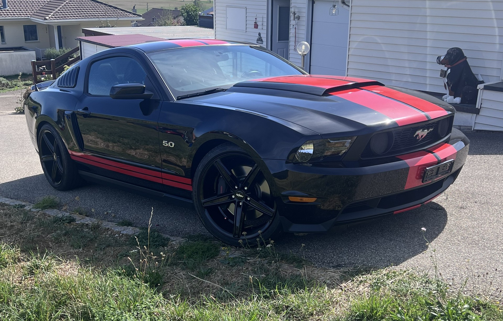 FORD 5.0 V8 GT Premium-image-0