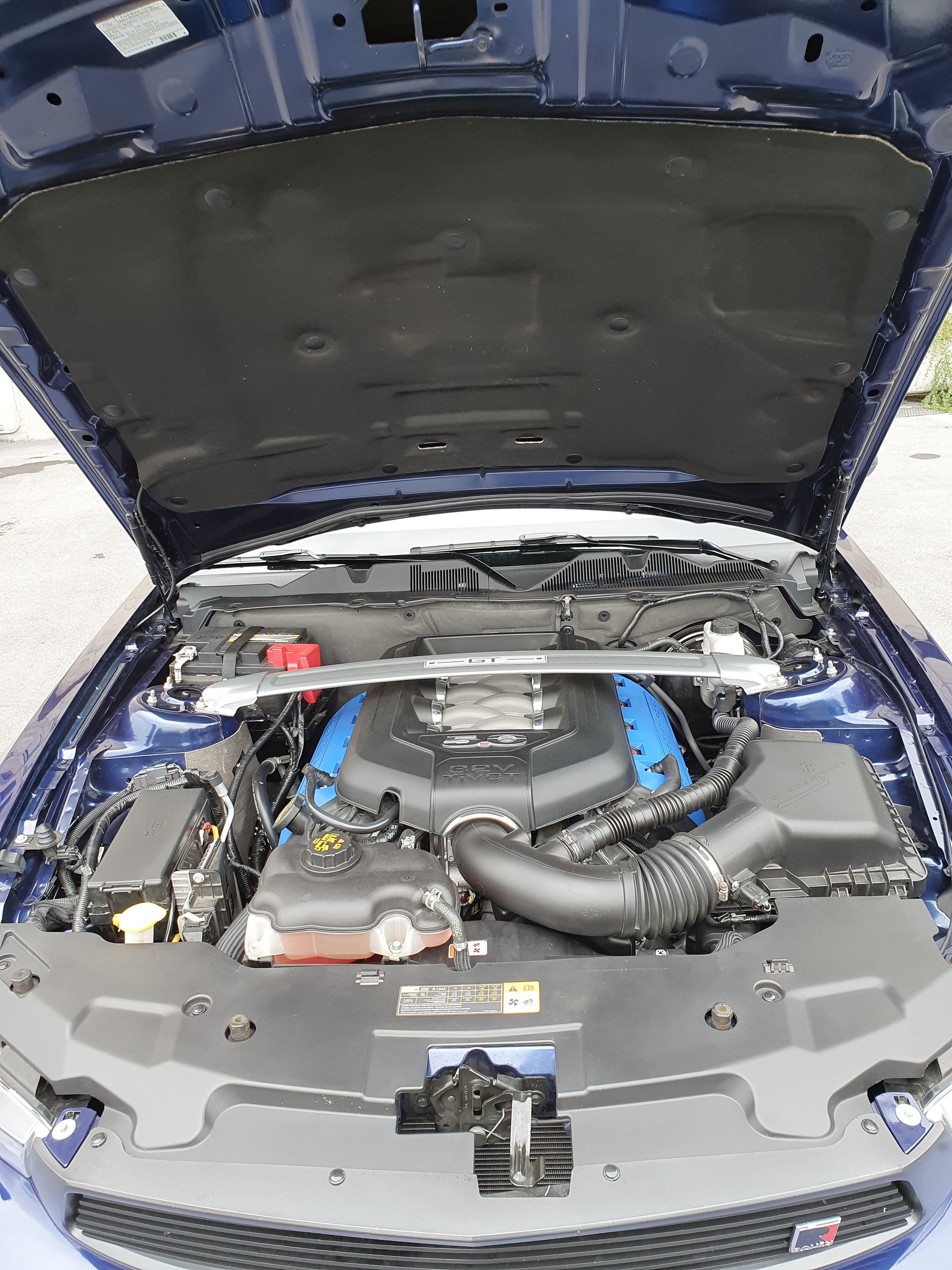 FORD MUSTANG GT ROUSH-image-7