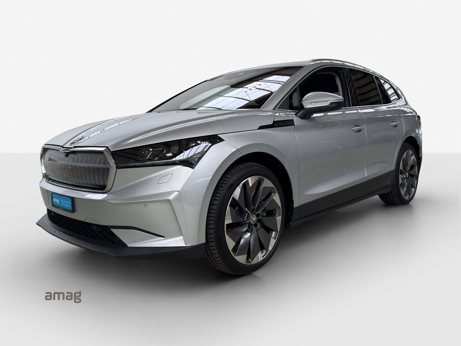 SKODA Enyaq iV 80x-image-0