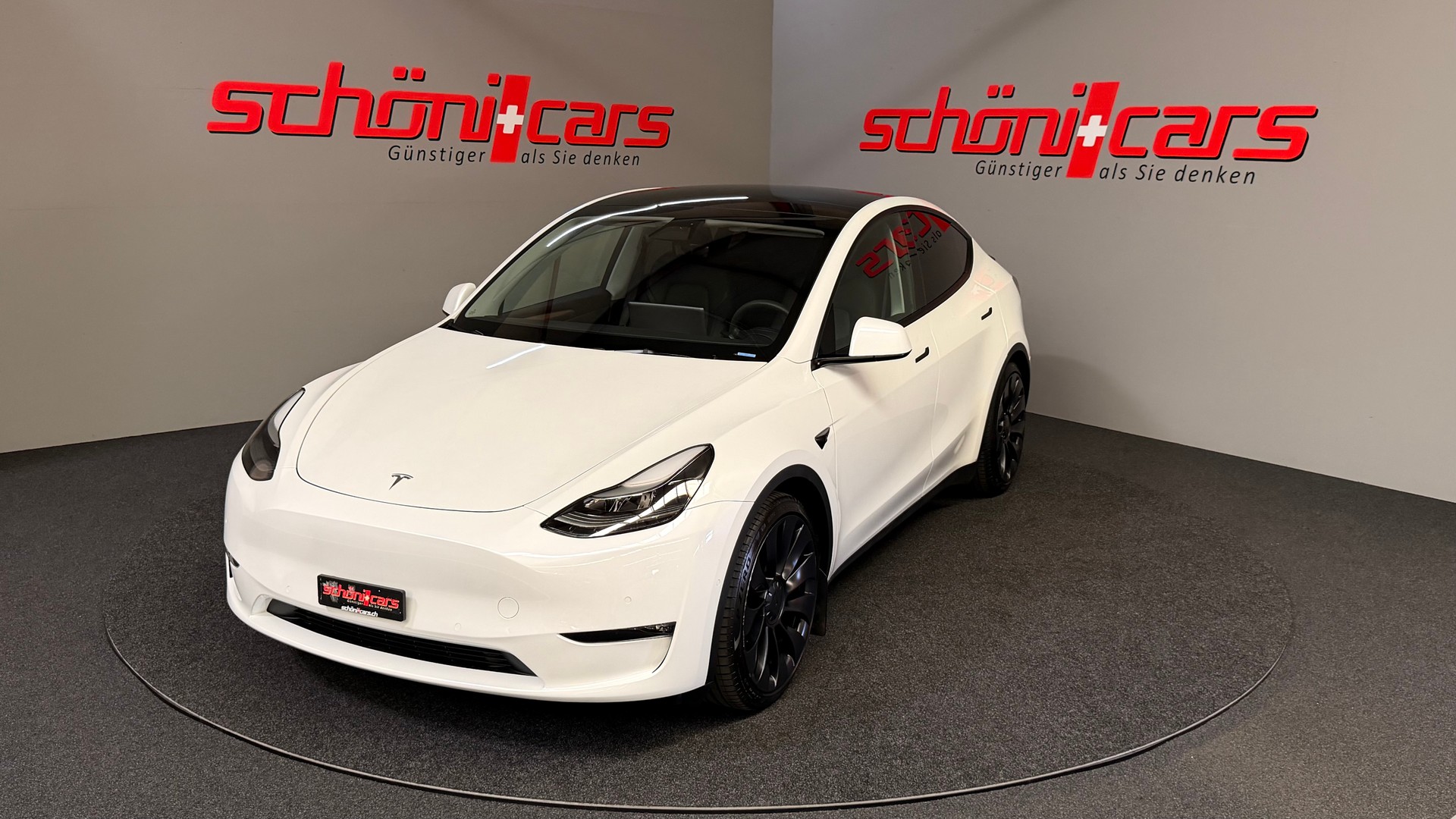 TESLA Model Y Performance-image-1