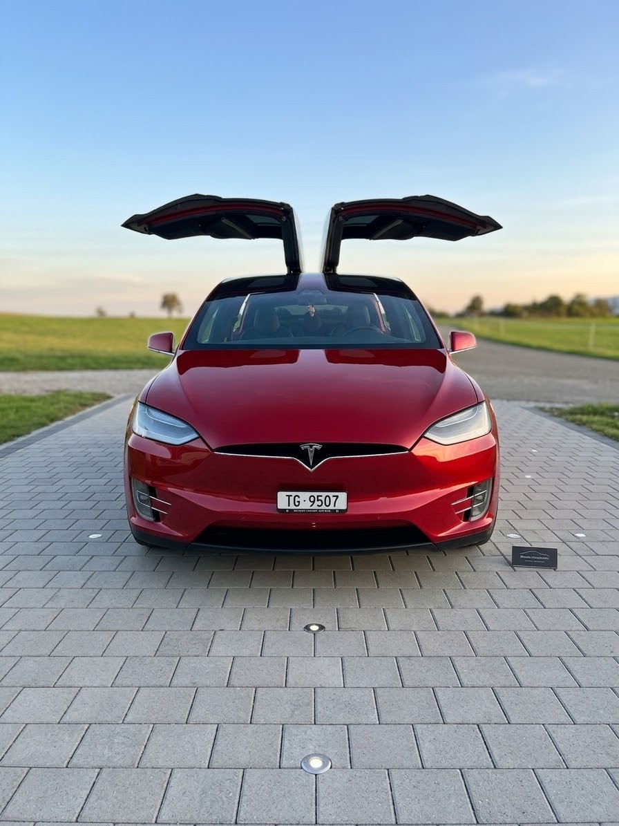 TESLA Tesla Model X Raven Performance Ludicrous | 795 PS | 8-fach-image-0