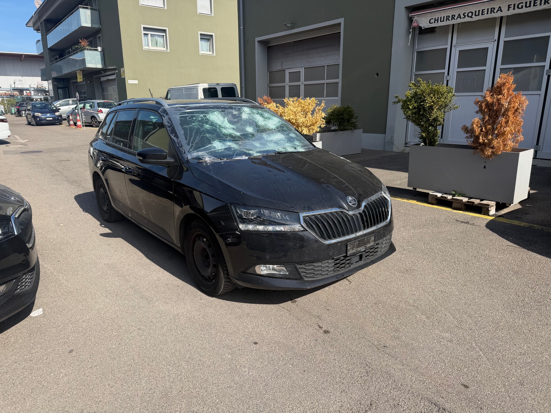 SKODA Fabia Combi 1.0 TSI Soleil DSG-image-2