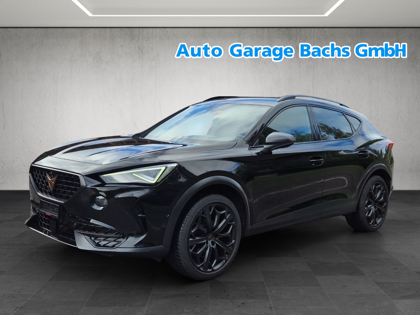 CUPRA Formentor 2.0TSI Tribe Edition DSG-image-1