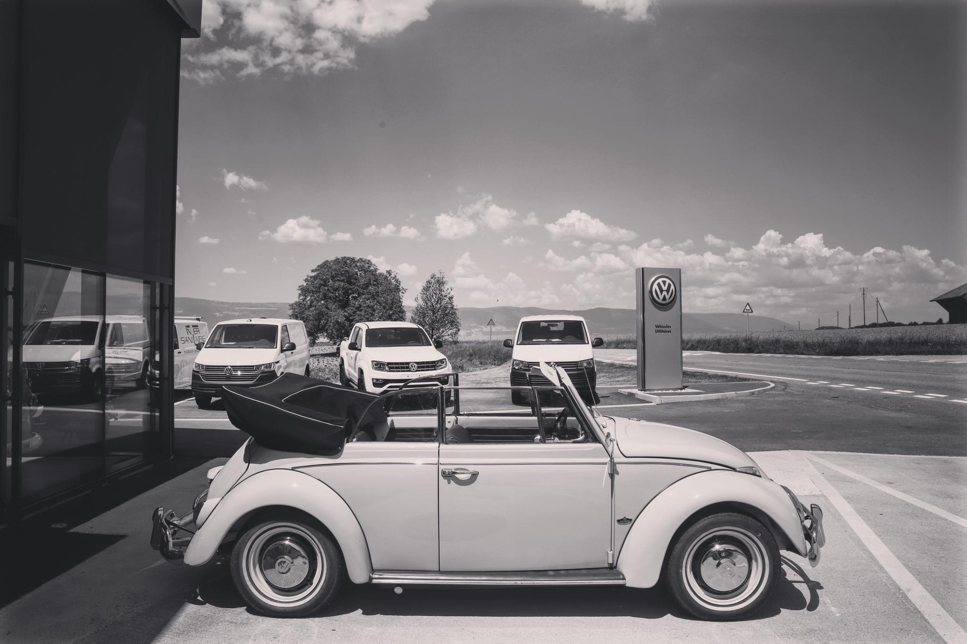 VW Käfer