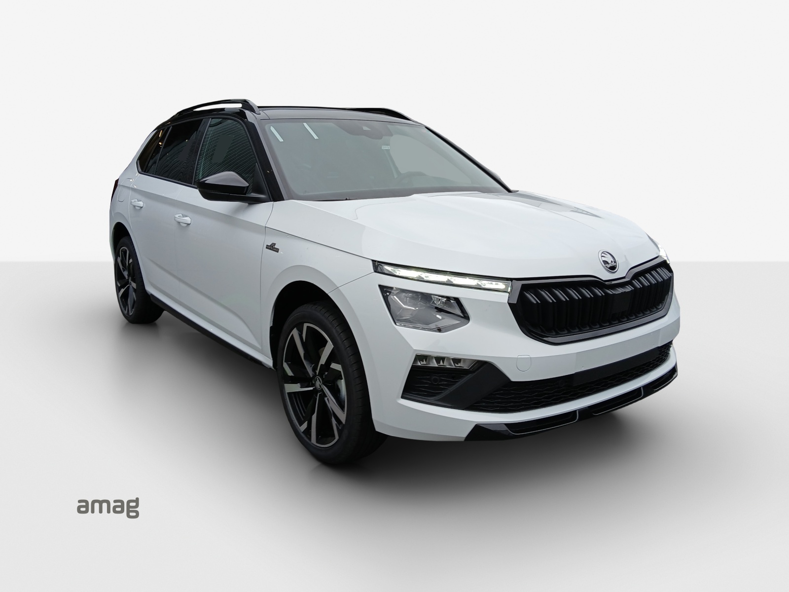 SKODA Kamiq 1.0 TSI Monte Carlo DSG-image-5