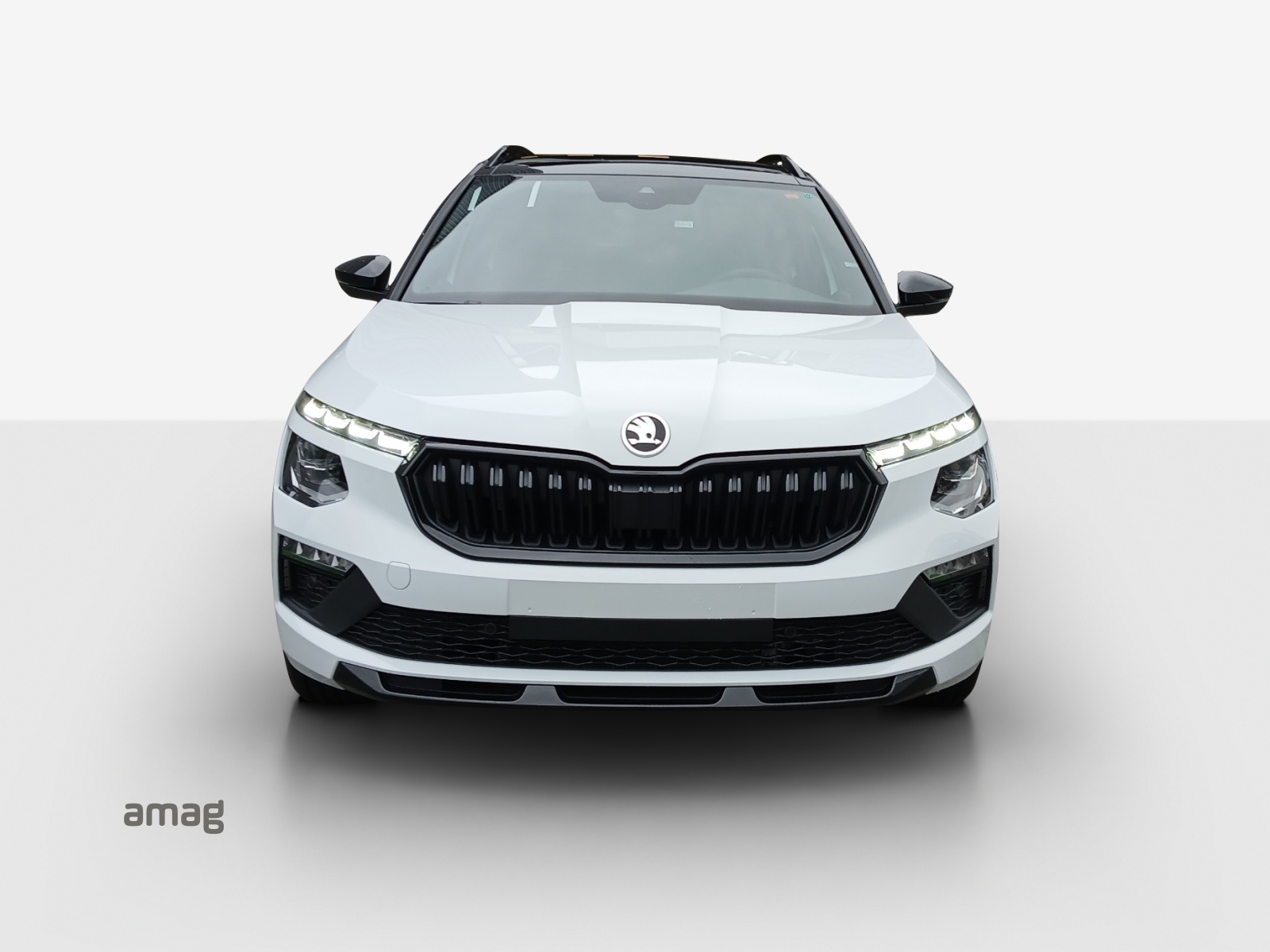 SKODA Kamiq 1.0 TSI Monte Carlo DSG-image-6