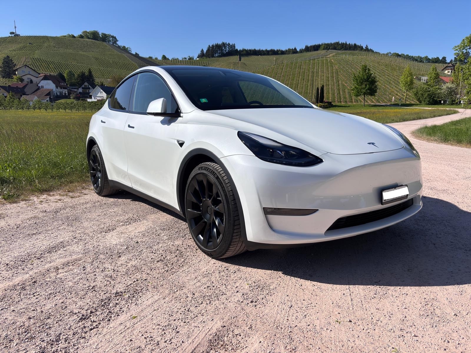 TESLA Y Long Range D-image-0
