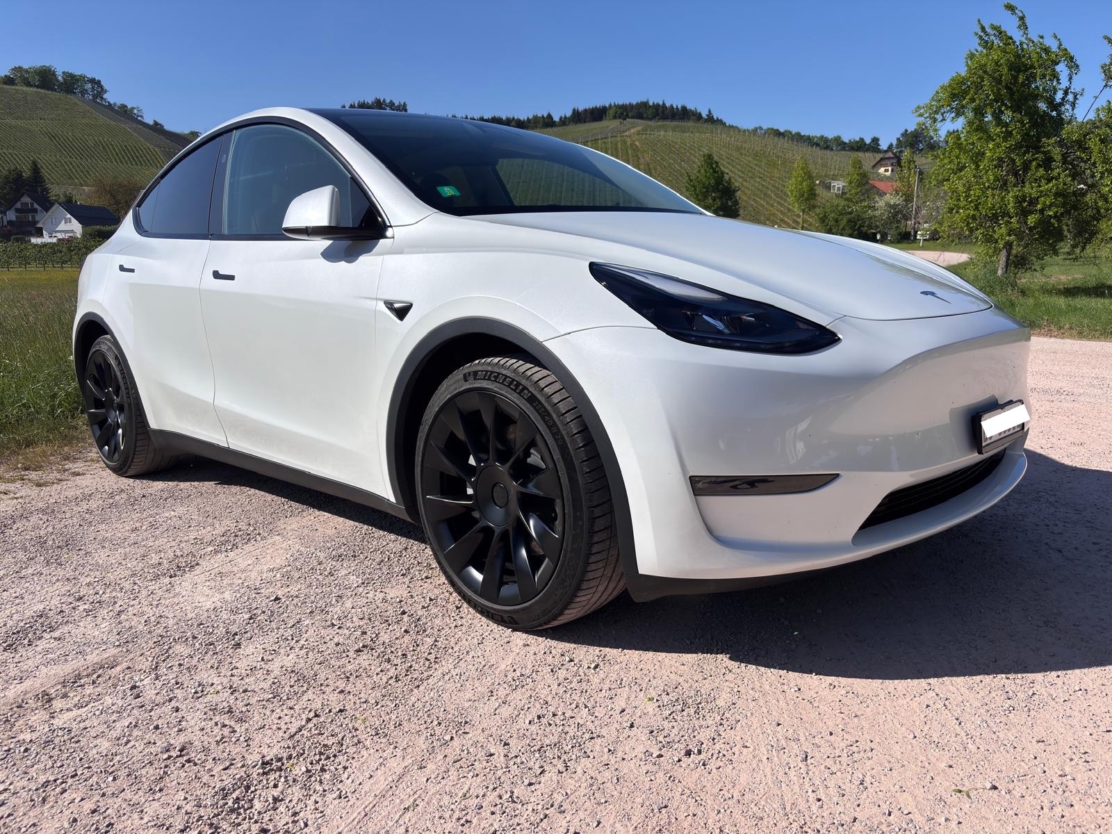 TESLA Y Long Range D-image-2